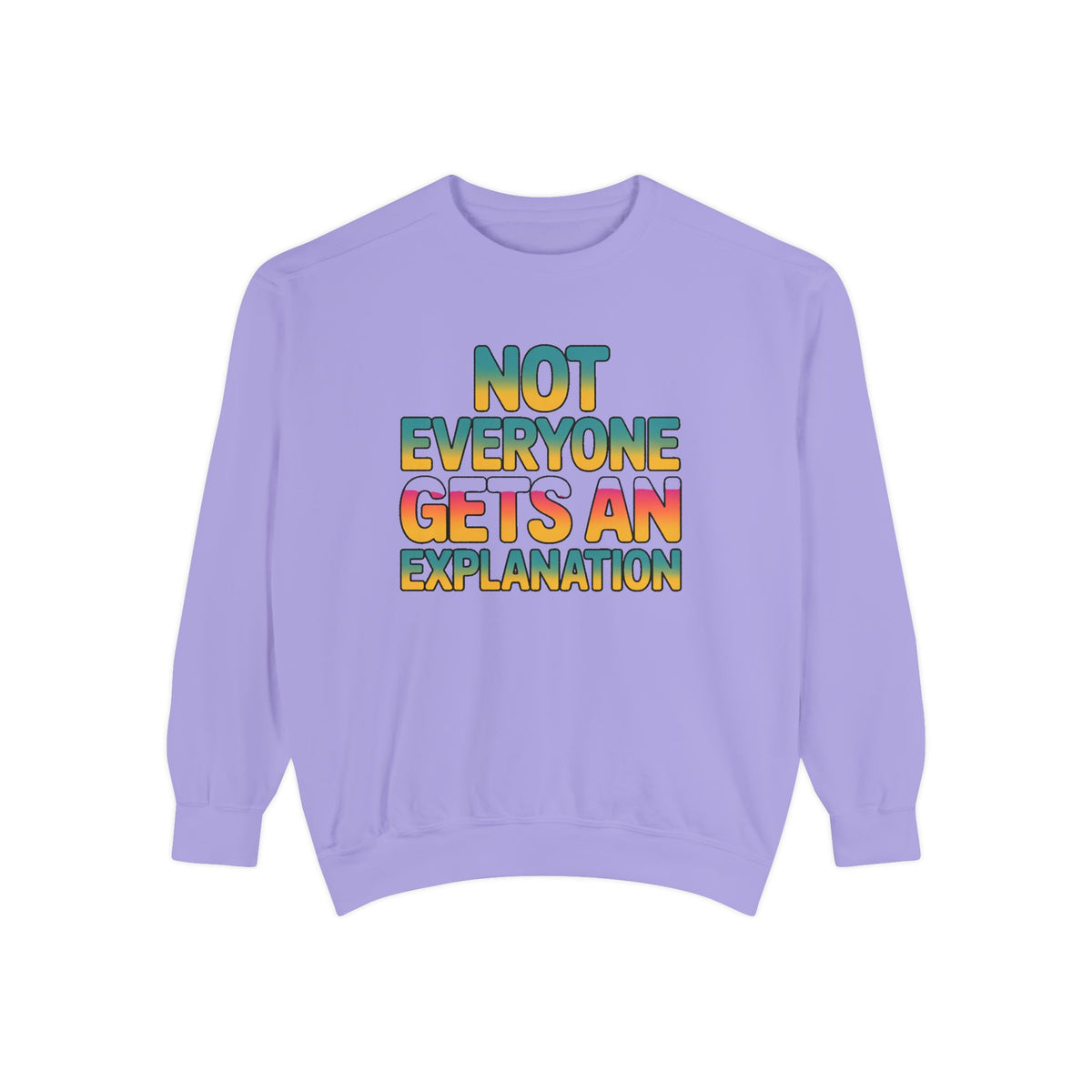 Not Everyone Gets An Explanation Sweatshirt, Bold Typography Crewneck, Sarcastic Quote Pullover, Trendy Statement Sweatshirt Gift