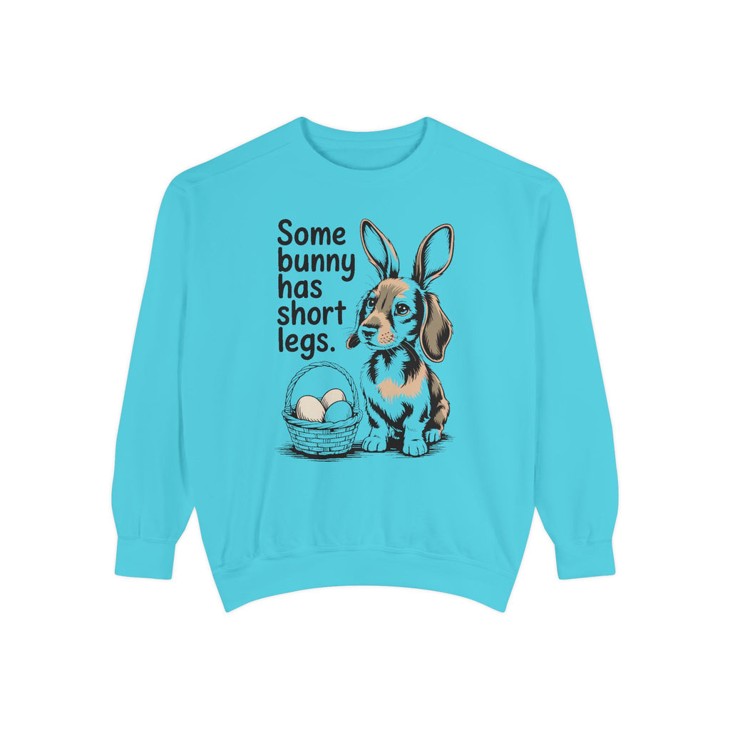 Dachshund Owner Sweatshirt, Some Bunny Has Short Legs, Funny Easter Gift For Dog Mom, Wiener Dog Easter Sweatshirt, Dachshund Easter Tee
