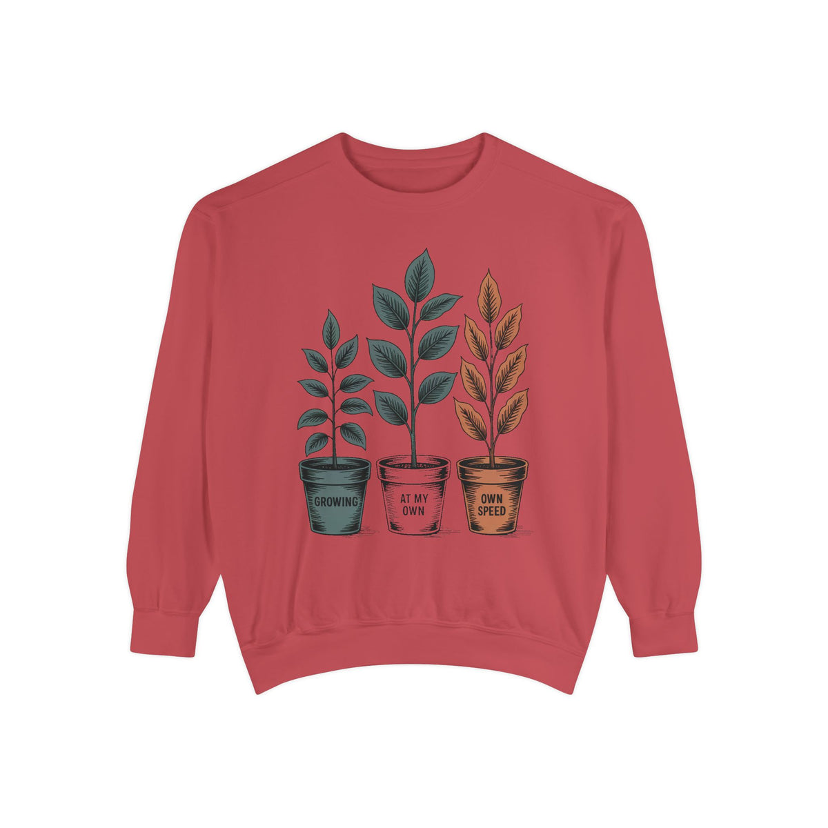 Self Encouragement Sweatshirt, Growing At My Own Speed Crewneck, Positive Affirmation Gift, Faith Based Sweatshirt, Personal Growth Gift Fo…