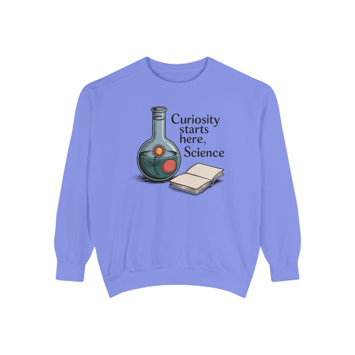Science Teacher Sweatshirt, Back to School Gift For Science Teacher, Curiosity Starts Here Crewneck, Vintage Lab Flask Tee, Science Teacher…