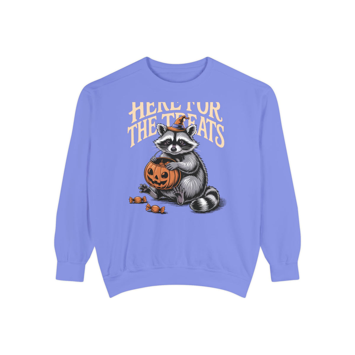 Here For The Treats Raccoon Sweatshirt, Funny Halloween Crewneck, Vintage Trick Or Treat Raccoon Shirt, Spooky Season Gift