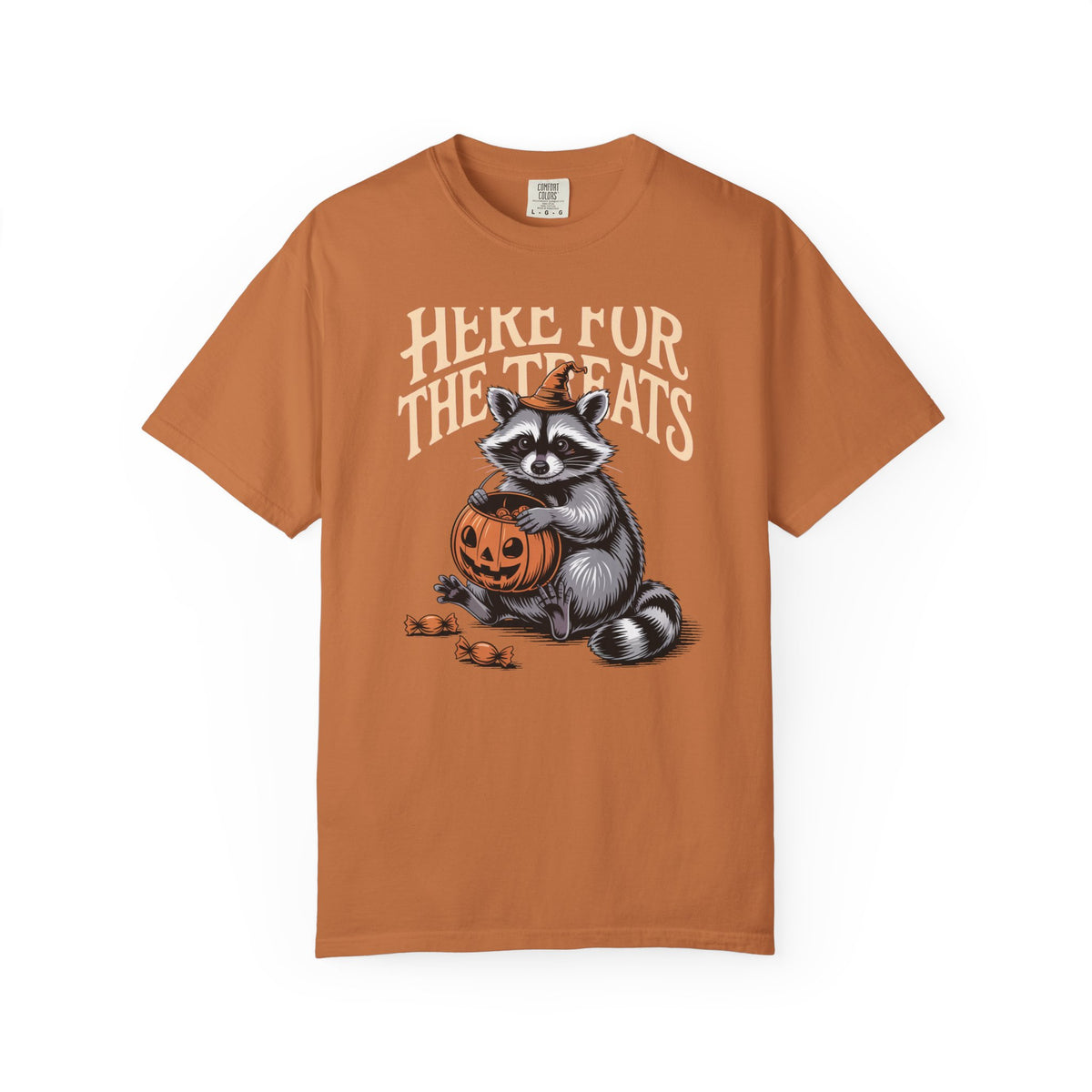 Here For The Treats Raccoon Shirt, Funny Halloween T-Shirt, Vintage Trick Or Treat Tee, Spooky Season Raccoon Gift