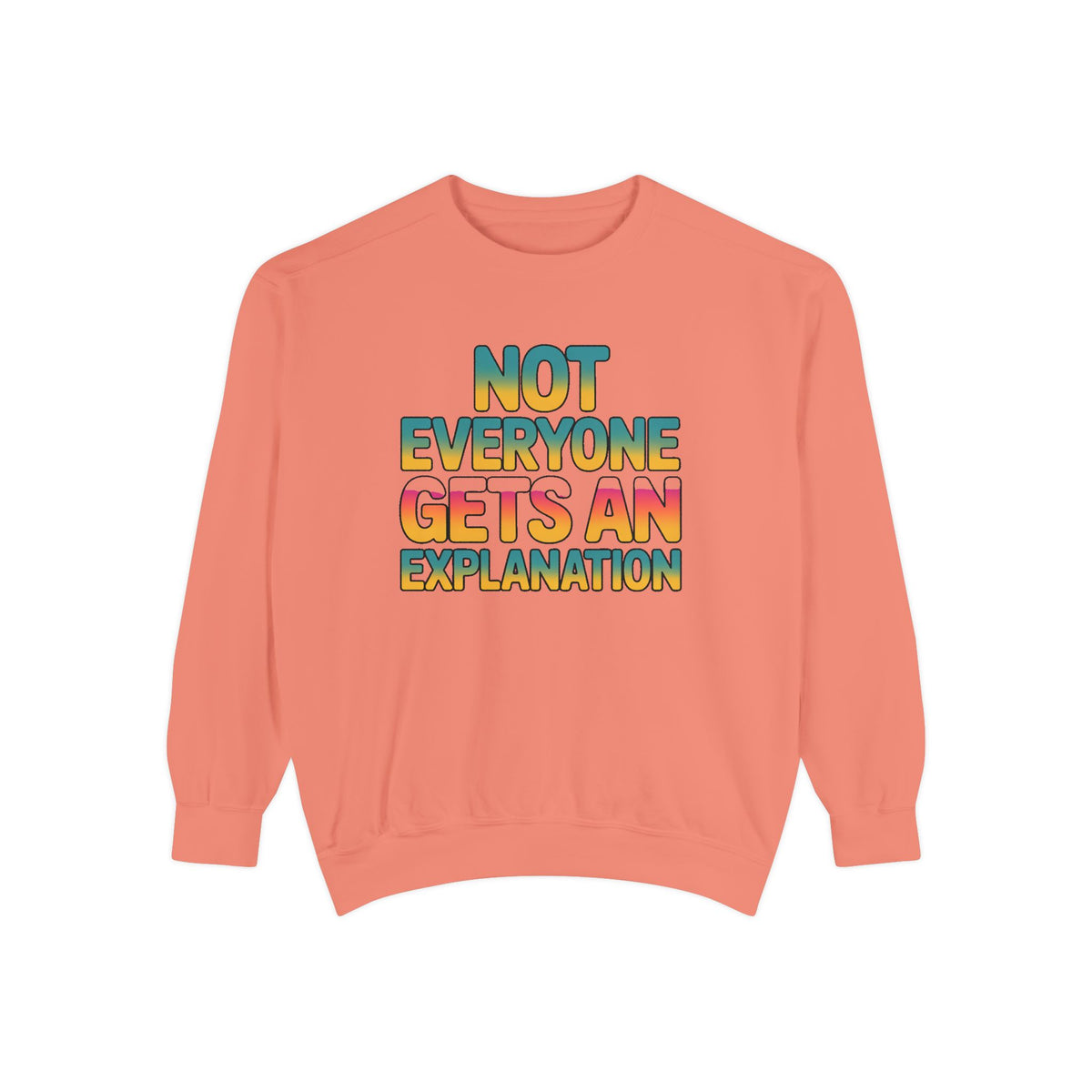 Not Everyone Gets An Explanation Sweatshirt, Bold Typography Crewneck, Sarcastic Quote Pullover, Trendy Statement Sweatshirt Gift