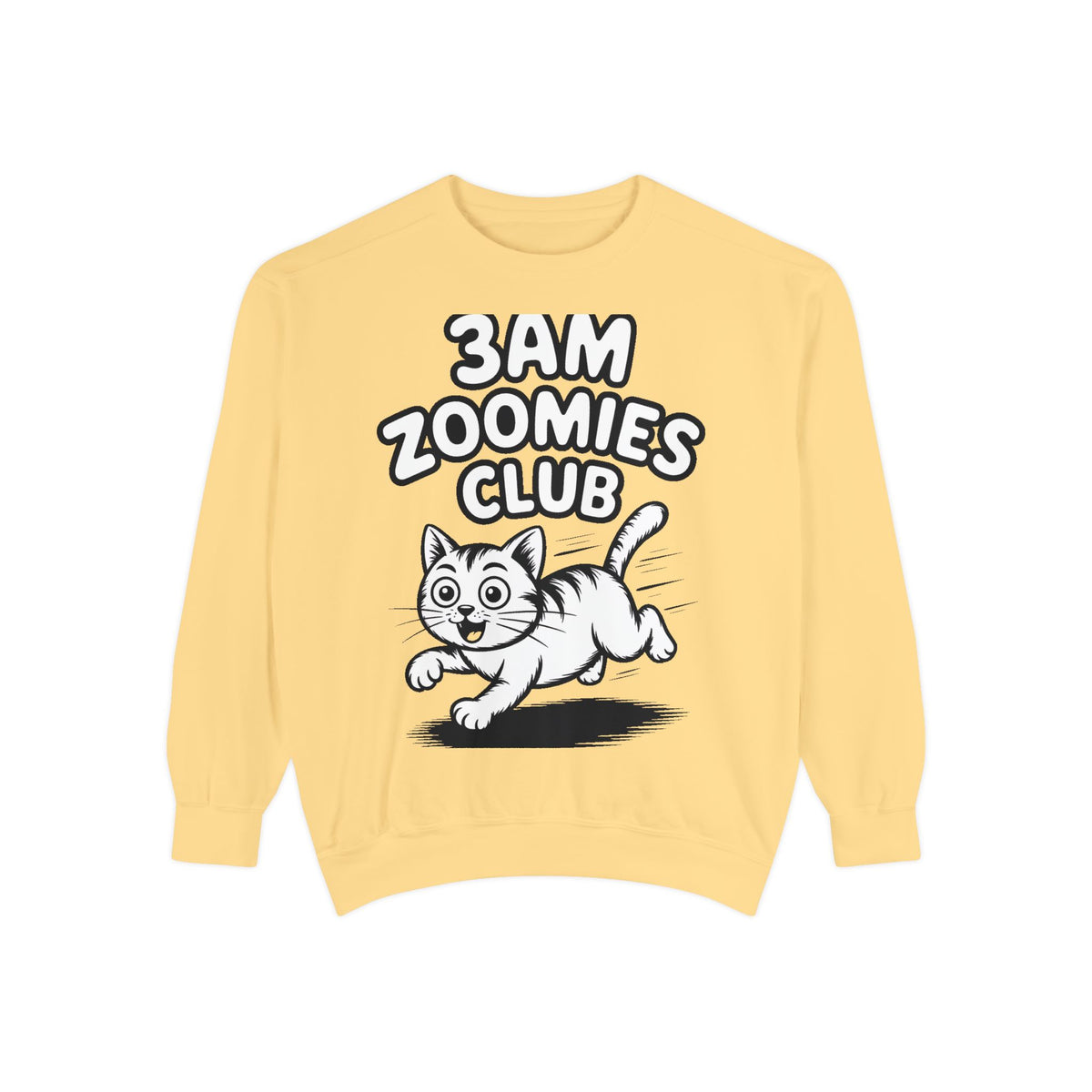 3AM Zoomies Club Sweatshirt, Funny Cat Crewneck, Cute Crazy Cat Lover Gift, Embroidered Patch Style Cat Sweatshirt