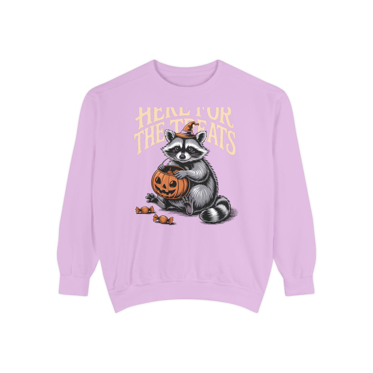 Here For The Treats Raccoon Sweatshirt, Funny Halloween Crewneck, Vintage Trick Or Treat Raccoon Shirt, Spooky Season Gift