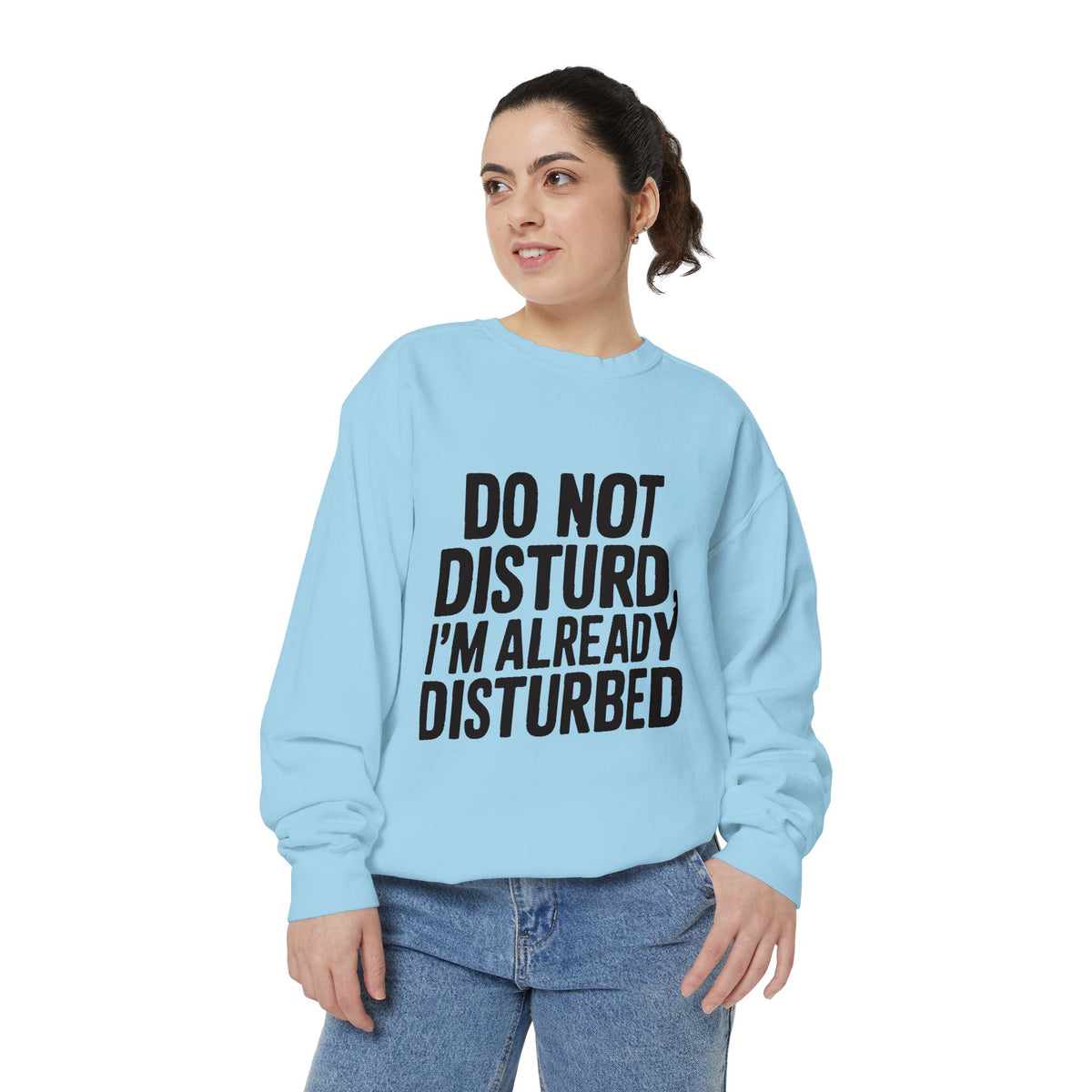 Do Not Disturb Already Disturbed Sweatshirt, Funny Sarcastic Crewneck, Embroidered Patch Style Pullover, Introvert Gift
