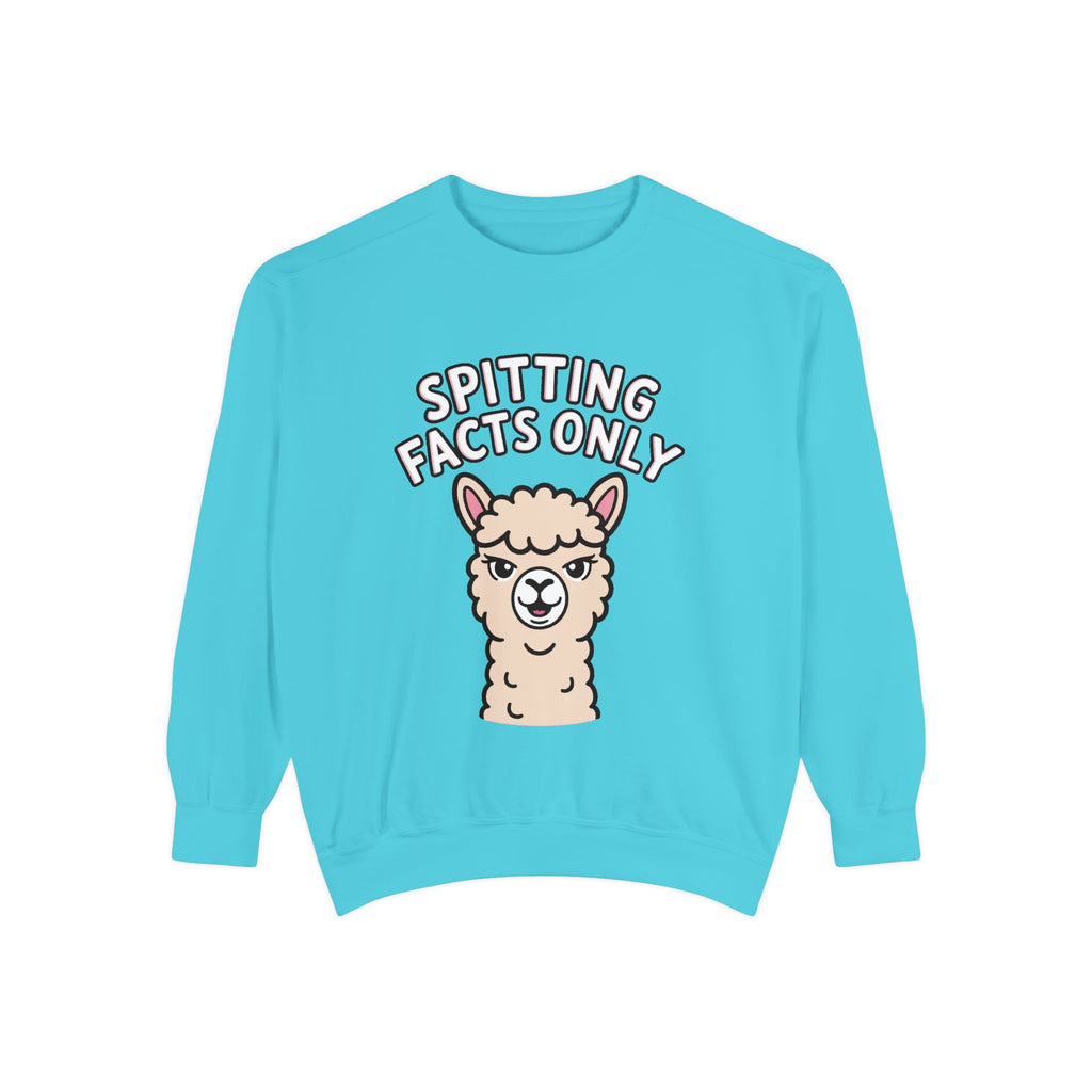 Alpaca Spitting Facts Sweatshirt, Funny Sassy Alpaca Crewneck, Cute Embroidered-Style Animal Sweatshirt, Alpaca Lover Gift
