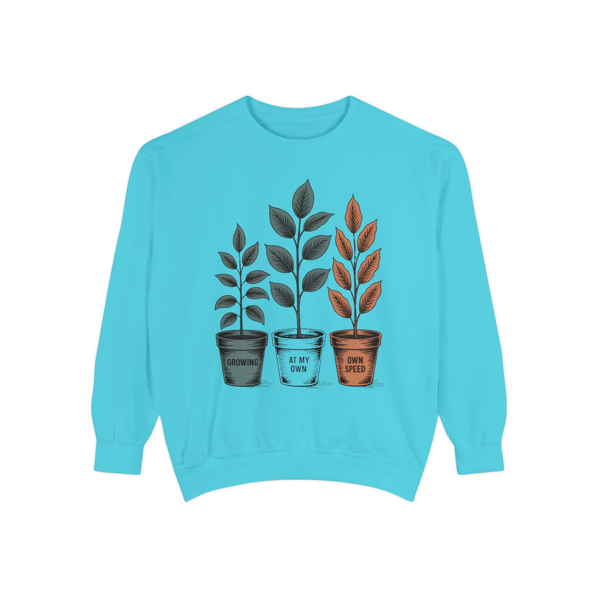 Self Encouragement Sweatshirt, Growing At My Own Speed Crewneck, Positive Affirmation Gift, Faith Based Sweatshirt, Personal Growth Gift Fo…