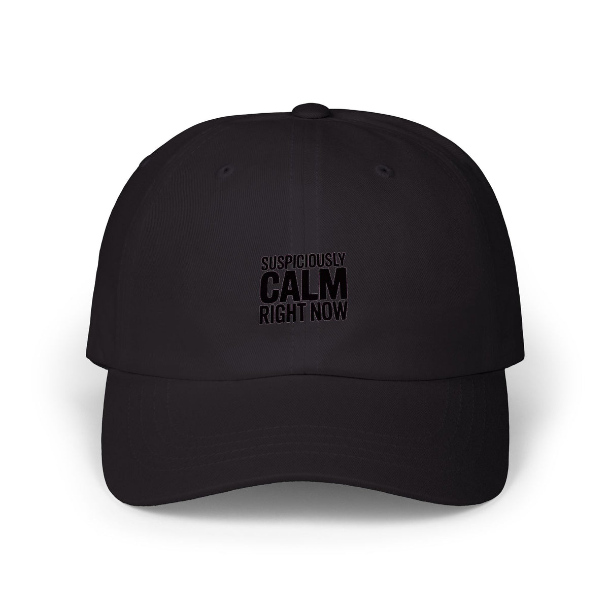 Suspiciously Calm Right Now Dad Hat, Funny Sarcastic Embroidered Cap, Minimalist Text Baseball Hat, Funny Gift for Him or Her