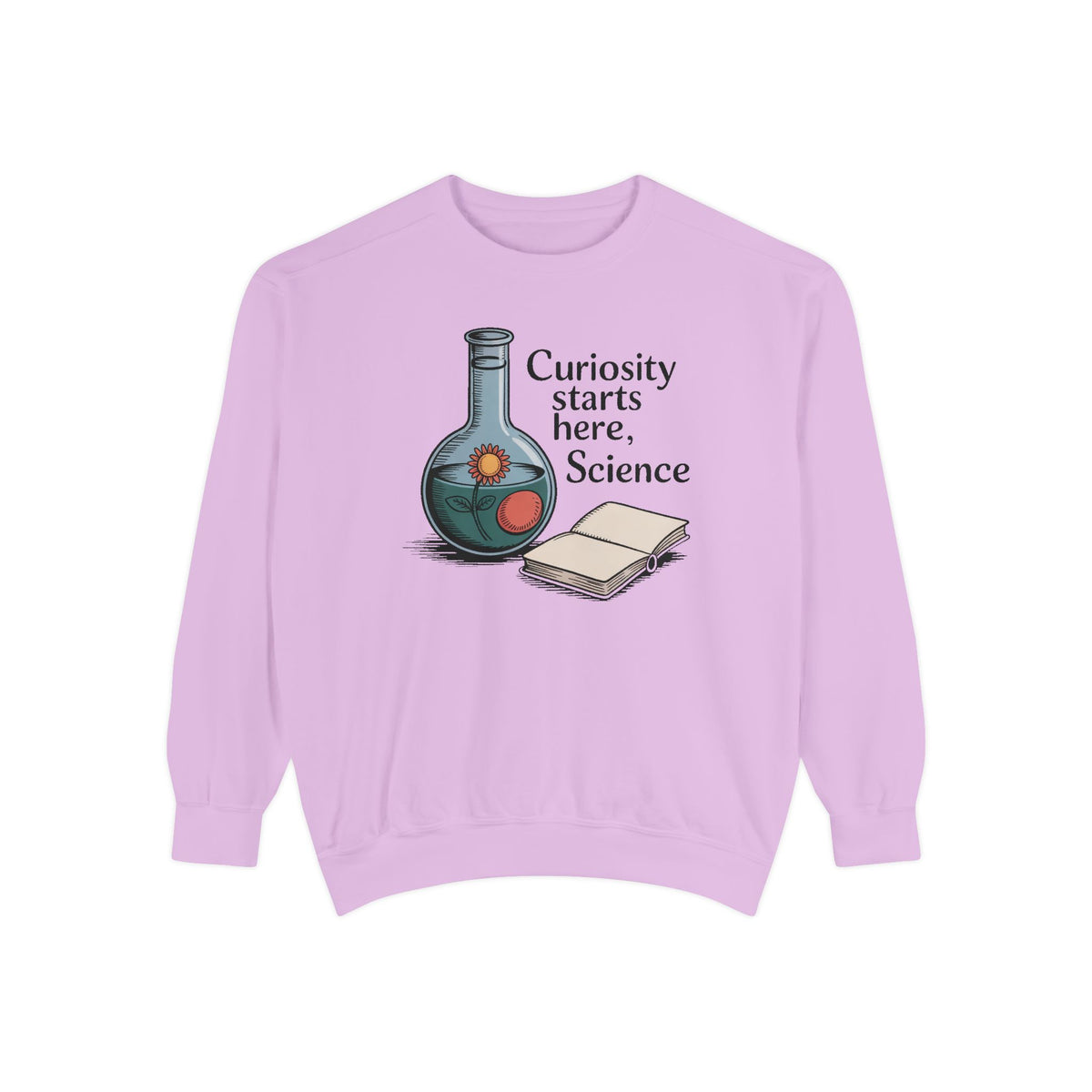 Science Teacher Sweatshirt, Back to School Gift For Science Teacher, Curiosity Starts Here Crewneck, Vintage Lab Flask Tee, Science Teacher…