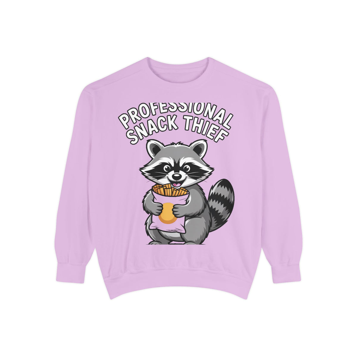 Professional Snack Thief Sweatshirt, Funny Raccoon Crewneck, Cute Raccoon Chip Bandit Sweatshirt, Snack Lover Gift