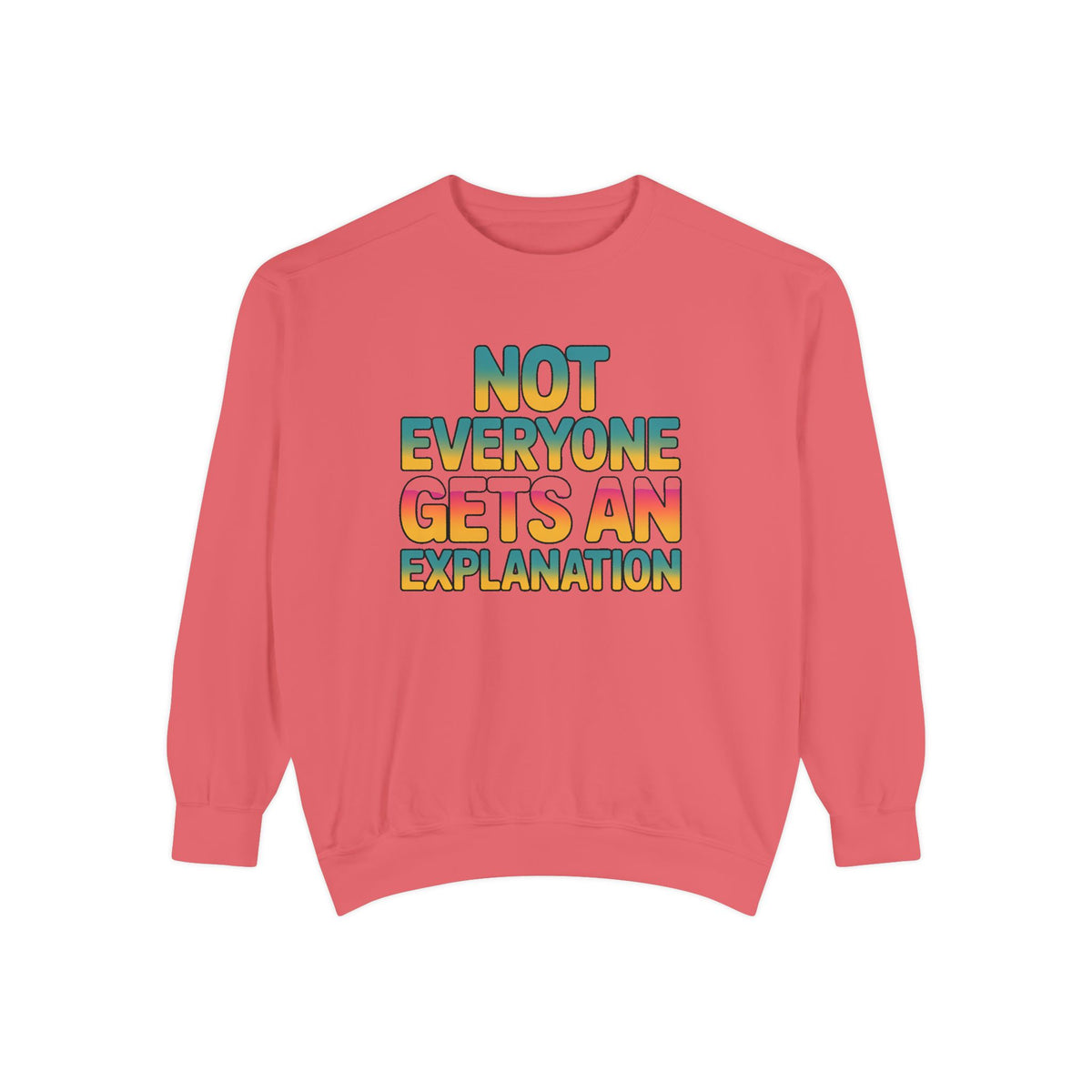 Not Everyone Gets An Explanation Sweatshirt, Bold Typography Crewneck, Sarcastic Quote Pullover, Trendy Statement Sweatshirt Gift