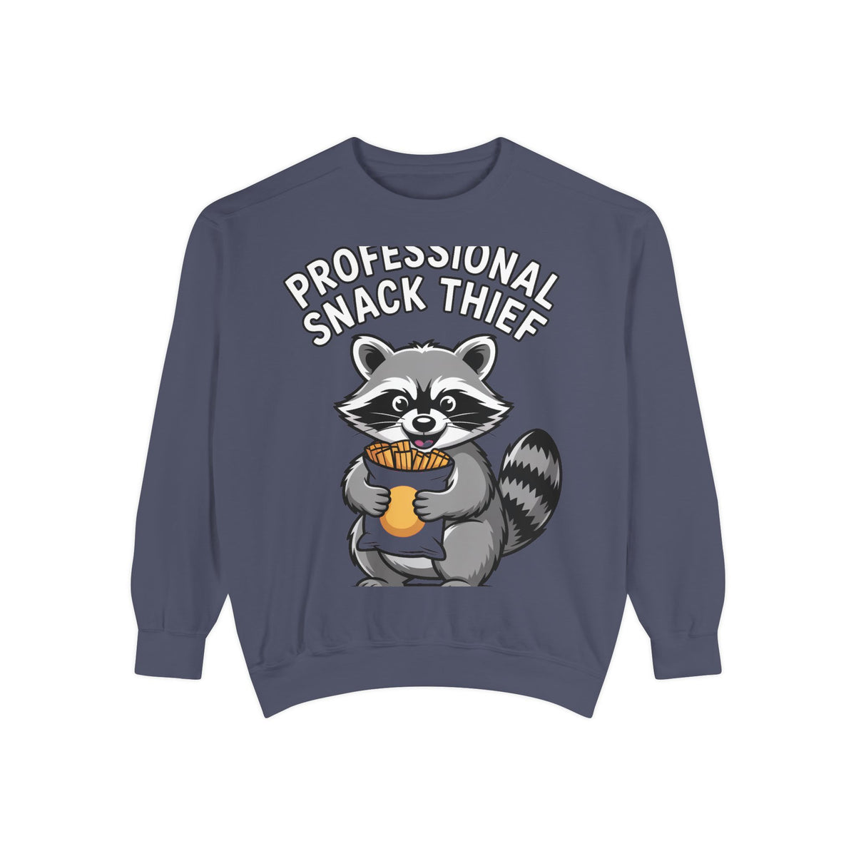 Professional Snack Thief Sweatshirt, Funny Raccoon Crewneck, Cute Raccoon Chip Bandit Sweatshirt, Snack Lover Gift