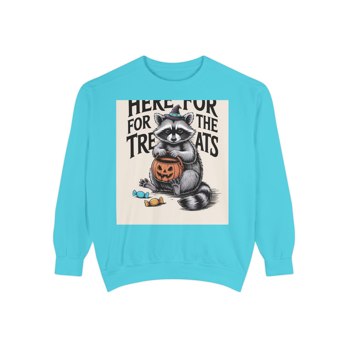 Here For The Treats Raccoon Sweatshirt, Funny Halloween Crewneck, Vintage Witch Raccoon Candy Sweatshirt, Spooky Season Gift