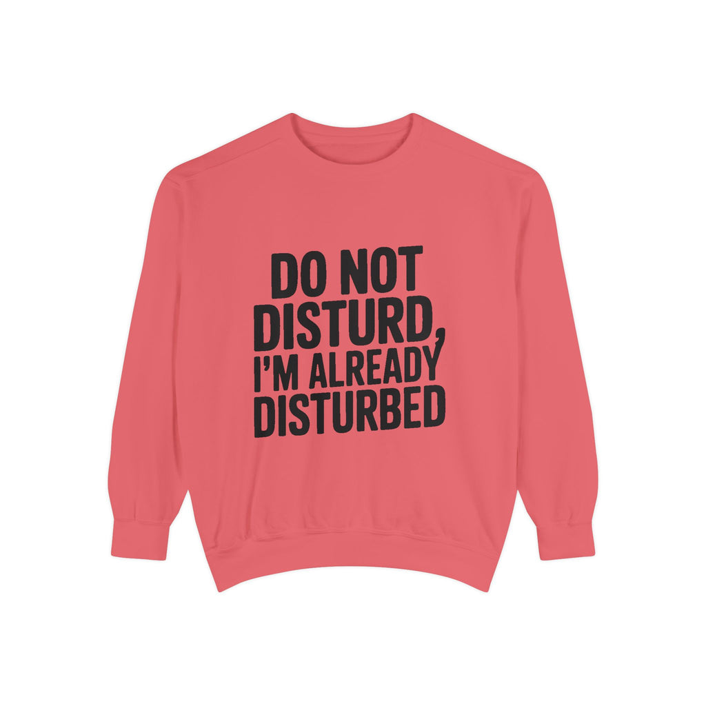 Do Not Disturb Already Disturbed Sweatshirt, Funny Sarcastic Crewneck, Embroidered Patch Style Pullover, Introvert Gift