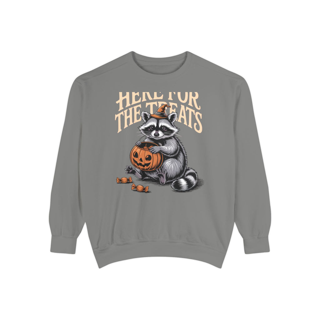 Here For The Treats Raccoon Sweatshirt, Funny Halloween Crewneck, Vintage Trick Or Treat Raccoon Shirt, Spooky Season Gift