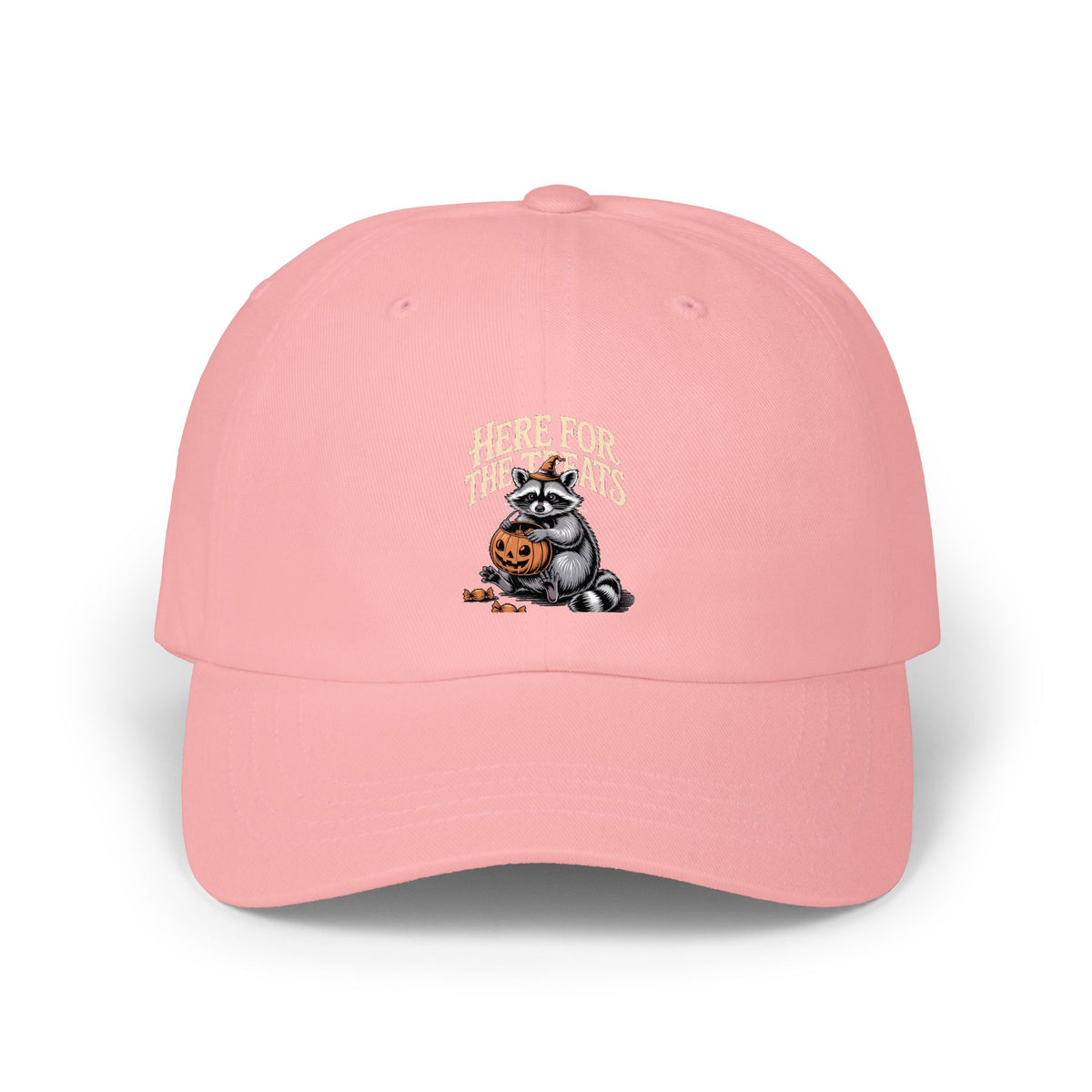 Here For The Treats Raccoon Dad Hat, Funny Halloween Cap, Vintage Raccoon Embroidered Dad Cap, Spooky Season Trick or Treat Gift
