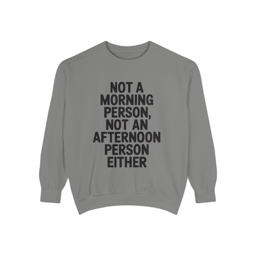 Not A Morning Person Sweatshirt, Funny Sarcastic Crewneck, Anti Morning Afternoon Person Shirt, Introvert Humor Gift