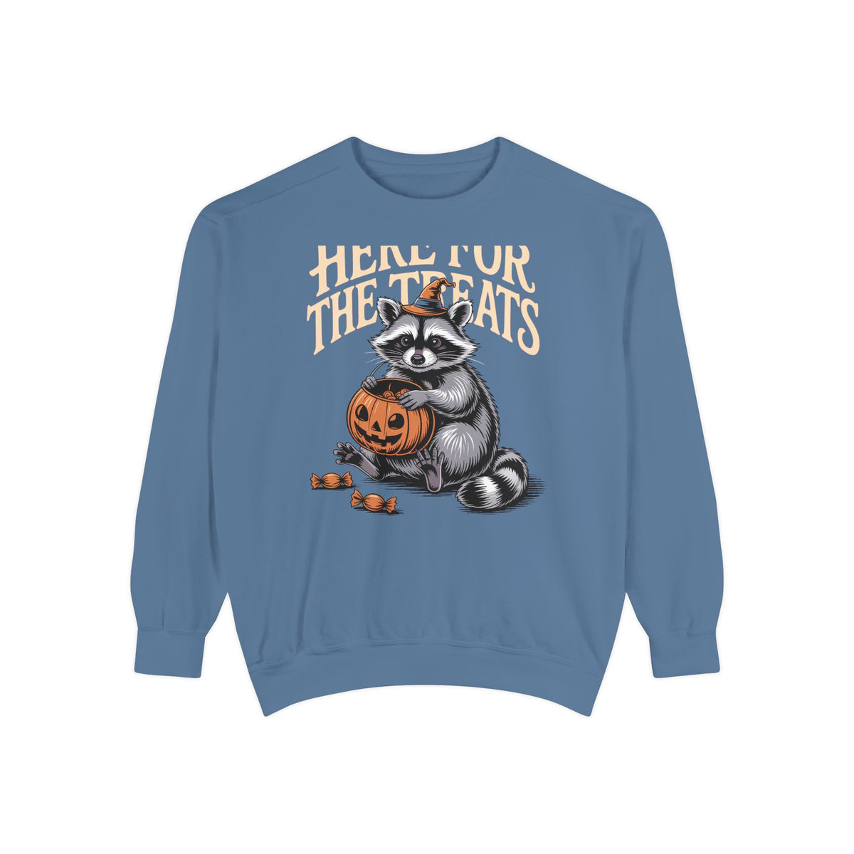 Here For The Treats Raccoon Sweatshirt, Funny Halloween Crewneck, Vintage Trick Or Treat Raccoon Shirt, Spooky Season Gift