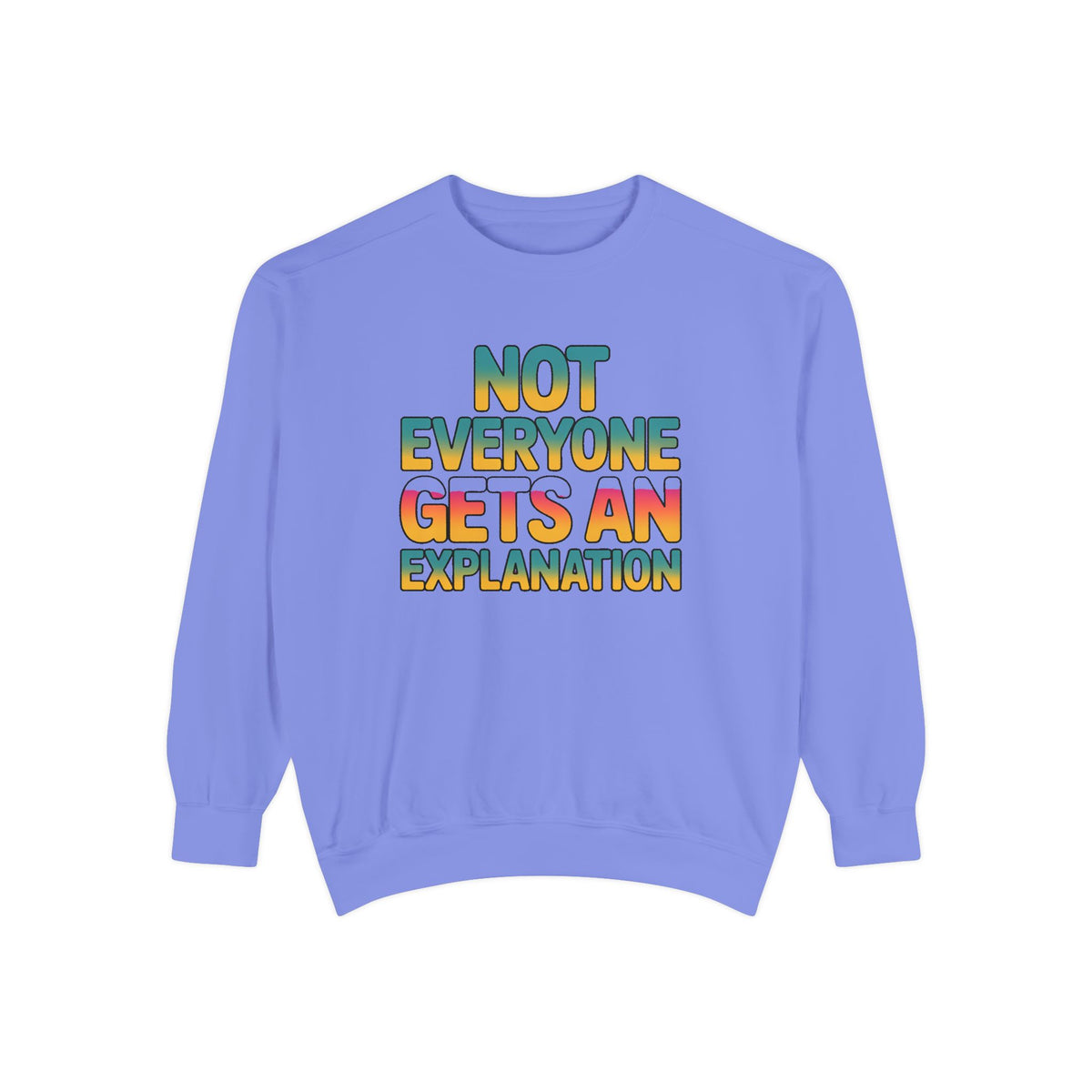 Not Everyone Gets An Explanation Sweatshirt, Bold Typography Crewneck, Sarcastic Quote Pullover, Trendy Statement Sweatshirt Gift