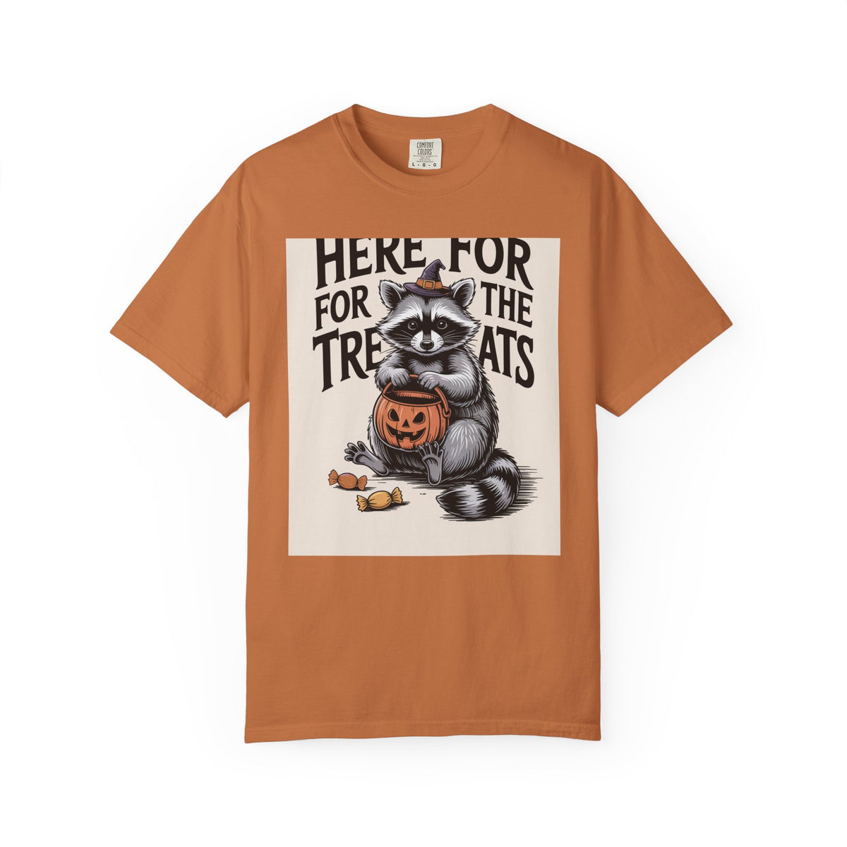 Here For The Treats Raccoon Shirt, Funny Halloween T-Shirt, Vintage Trick Or Treat Tee, Spooky Season Raccoon Gift