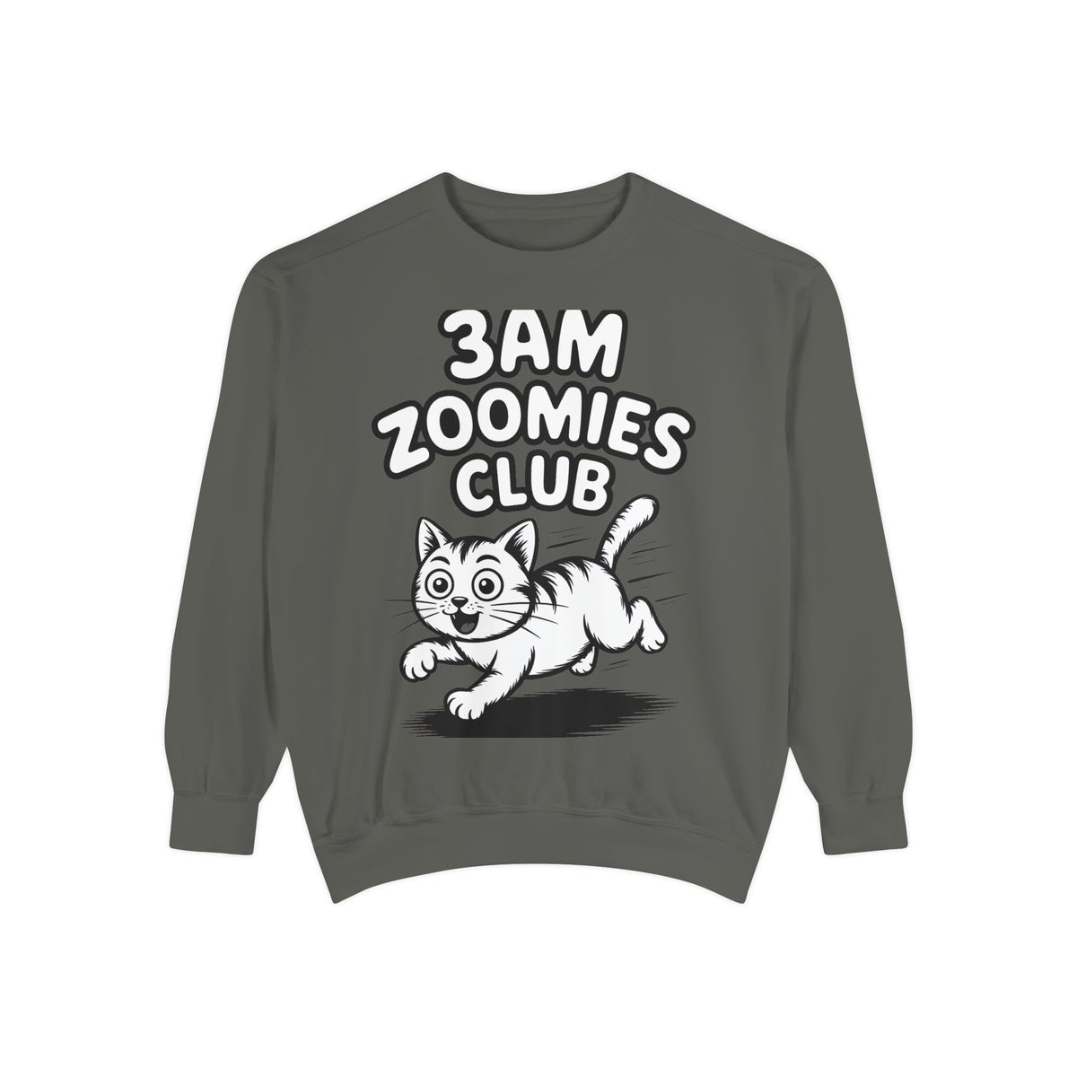3AM Zoomies Club Sweatshirt, Funny Cat Crewneck, Cute Crazy Cat Lover Gift, Embroidered Patch Style Cat Sweatshirt