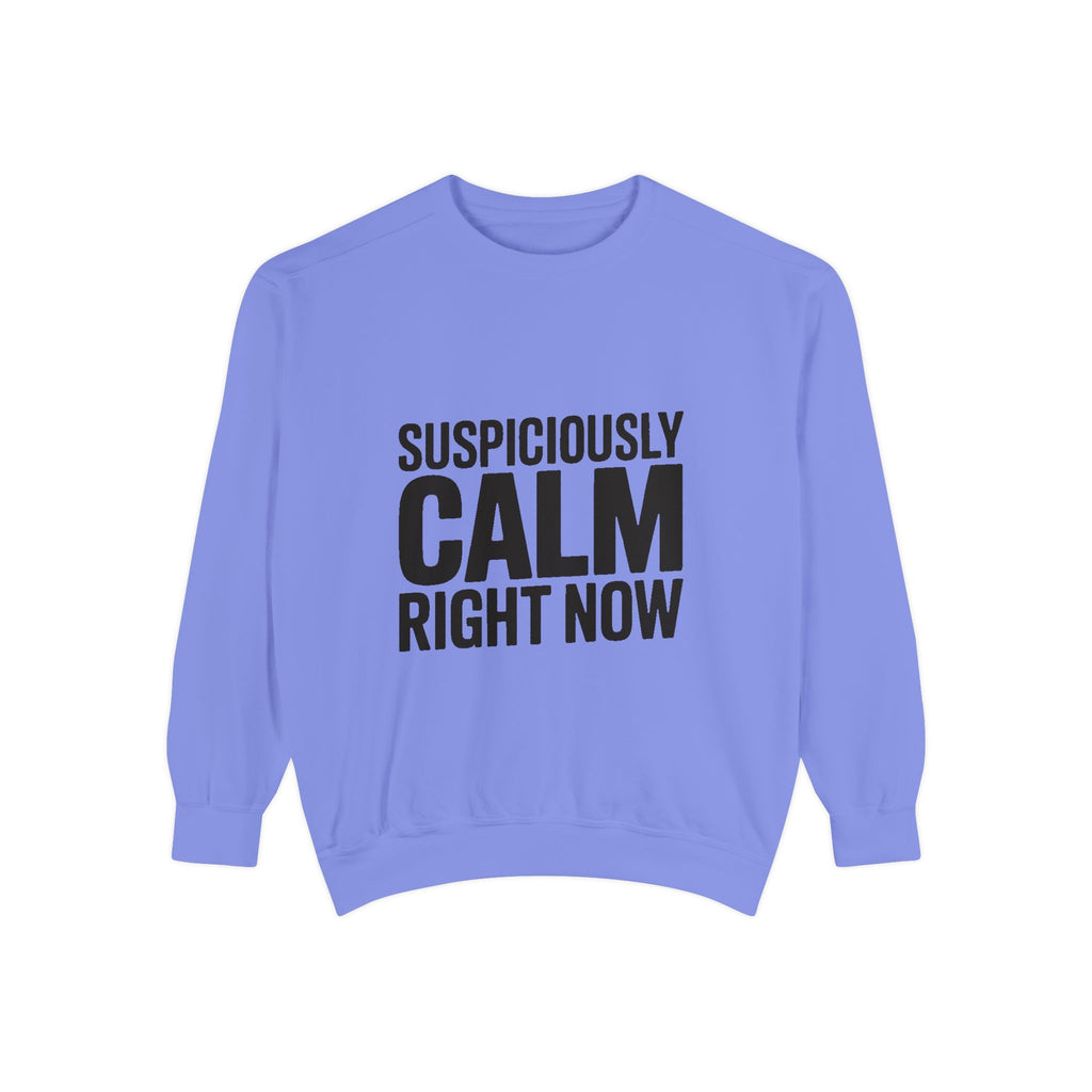 Suspiciously Calm Right Now Sweatshirt, Funny Sarcastic Crewneck, Bold Text Embroidered Patch Style Pullover, Sarcasm Gift