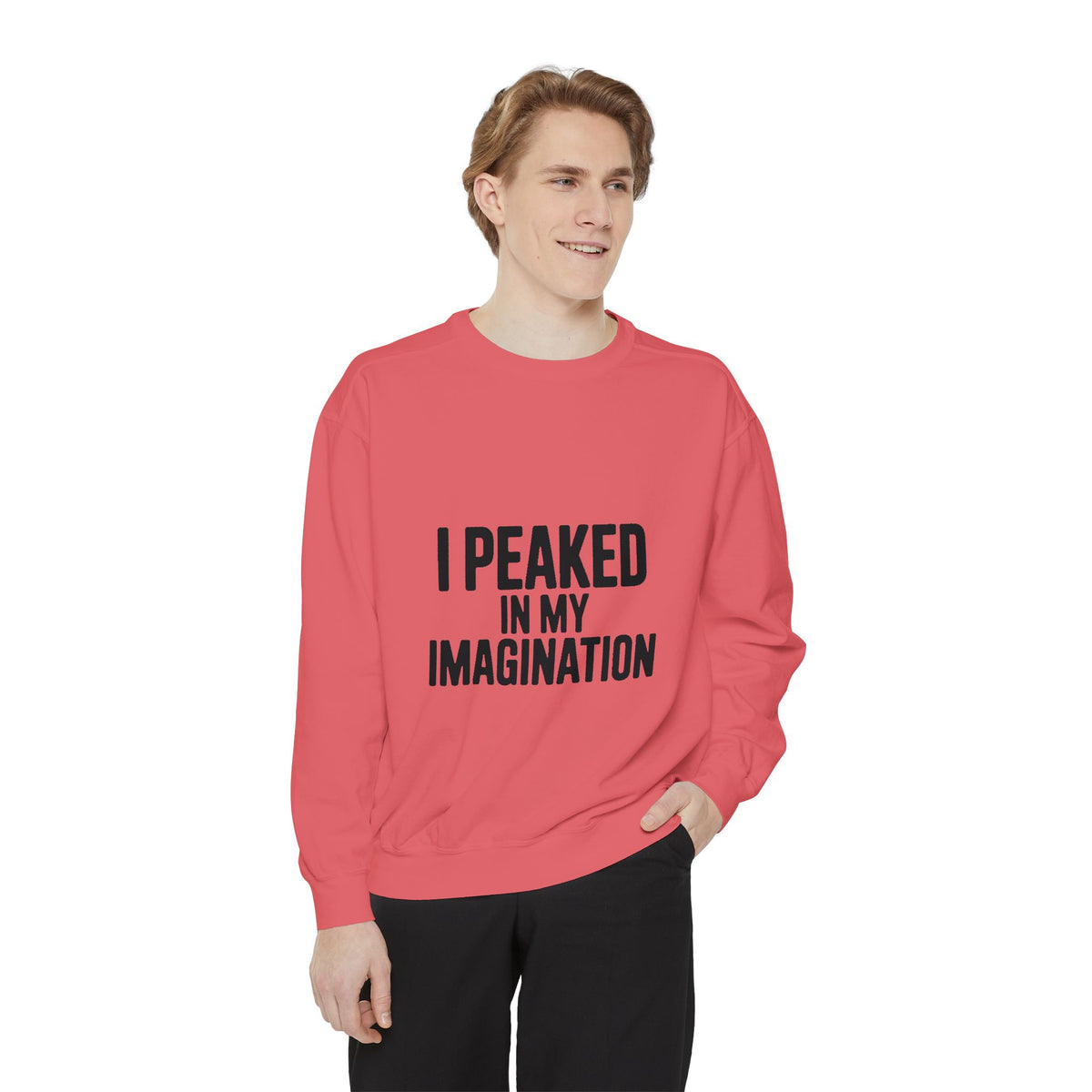 I Peaked In My Imagination Sweatshirt, Funny Sarcastic Crewneck, Bold Typography Embroidered Sweatshirt, Daydreamer Gift