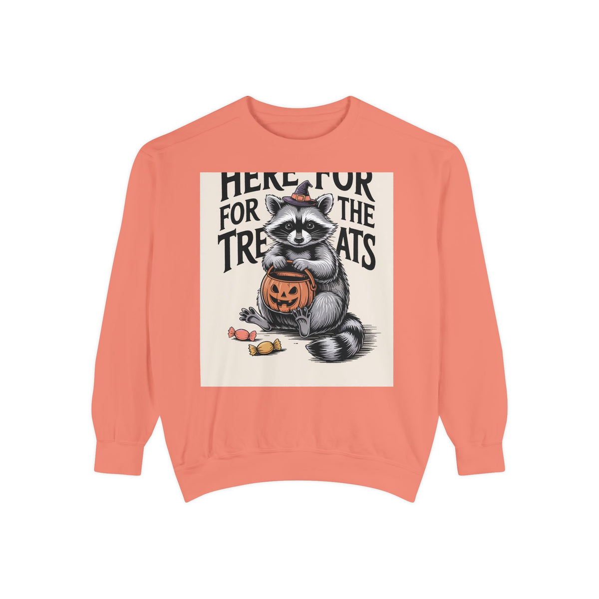 Here For The Treats Raccoon Sweatshirt, Funny Halloween Crewneck, Vintage Witch Raccoon Candy Sweatshirt, Spooky Season Gift