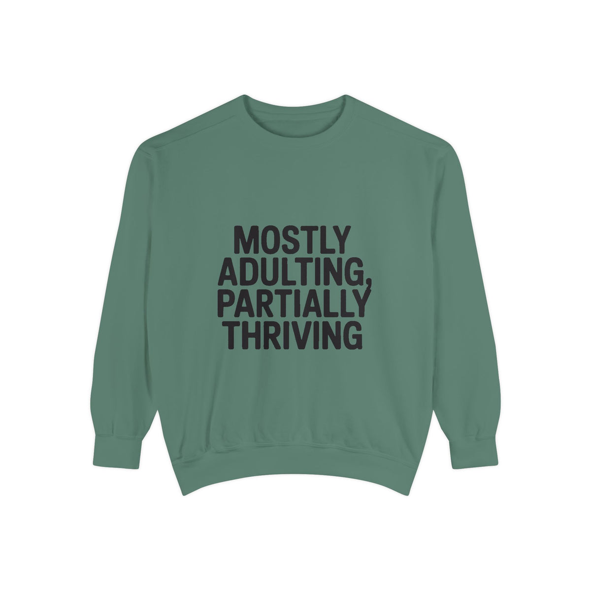 Mostly Adulting Partially Thriving Sweatshirt, Funny Embroidered Crewneck, Sarcastic Adult Life Gift, Minimalist Text Sweatshirt