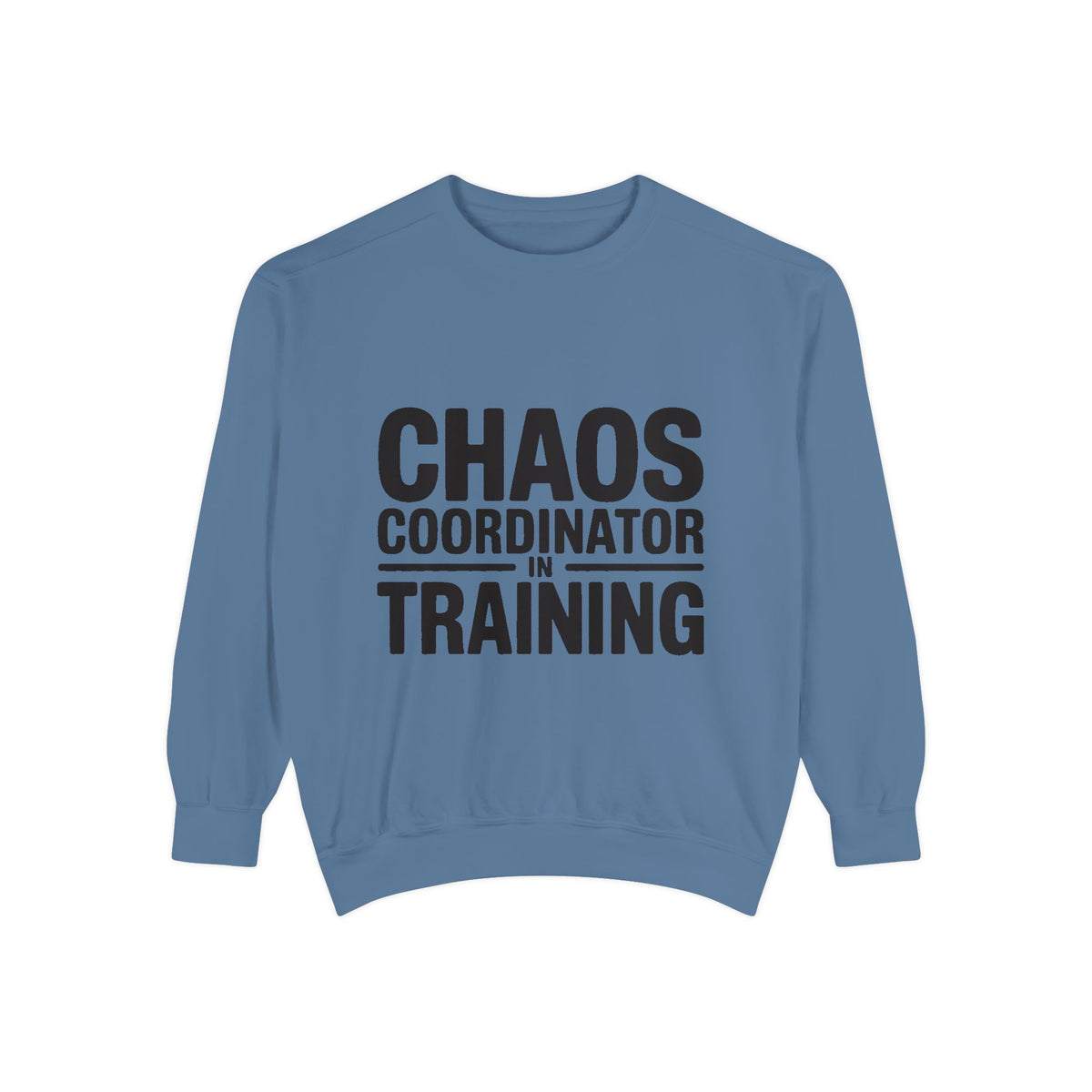 Chaos Coordinator In Training Sweatshirt, Funny Mom Crewneck, Embroidered Style Bold Text Sweatshirt, Teacher Nurse Gift