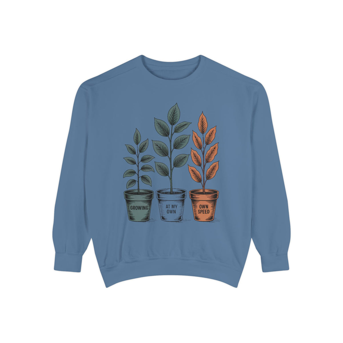 Self Encouragement Sweatshirt, Growing At My Own Speed Crewneck, Positive Affirmation Gift, Faith Based Sweatshirt, Personal Growth Gift Fo…