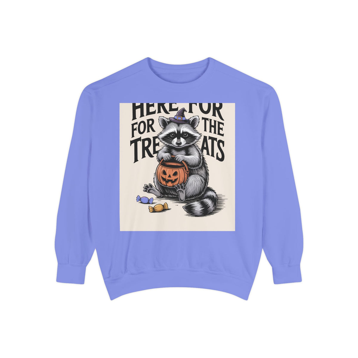 Here For The Treats Raccoon Sweatshirt, Funny Halloween Crewneck, Vintage Witch Raccoon Candy Sweatshirt, Spooky Season Gift
