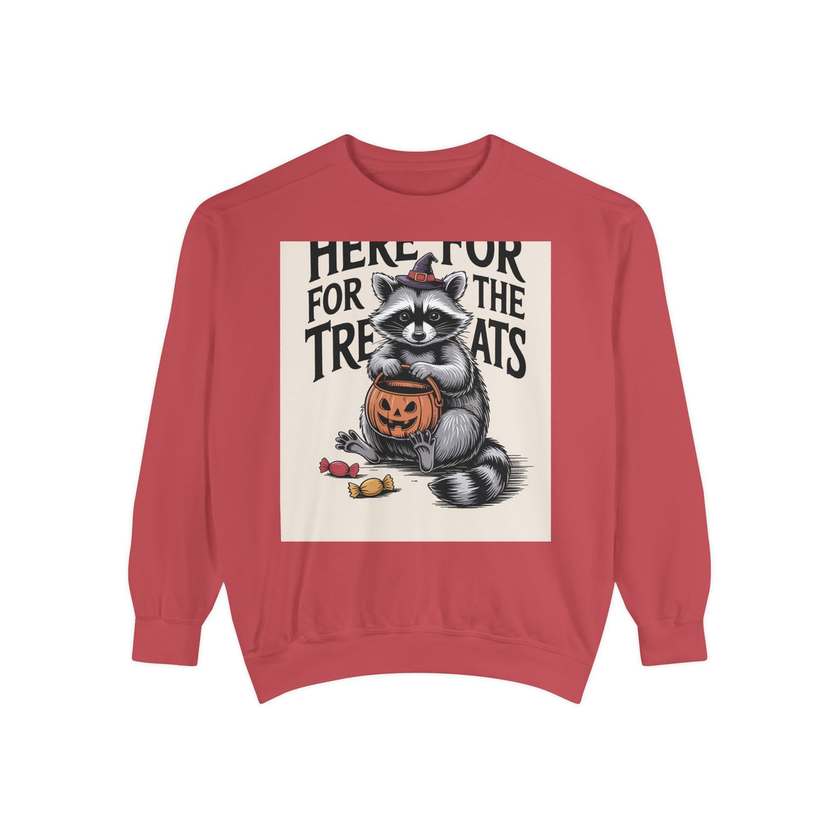 Here For The Treats Raccoon Sweatshirt, Funny Halloween Crewneck, Vintage Witch Raccoon Candy Sweatshirt, Spooky Season Gift
