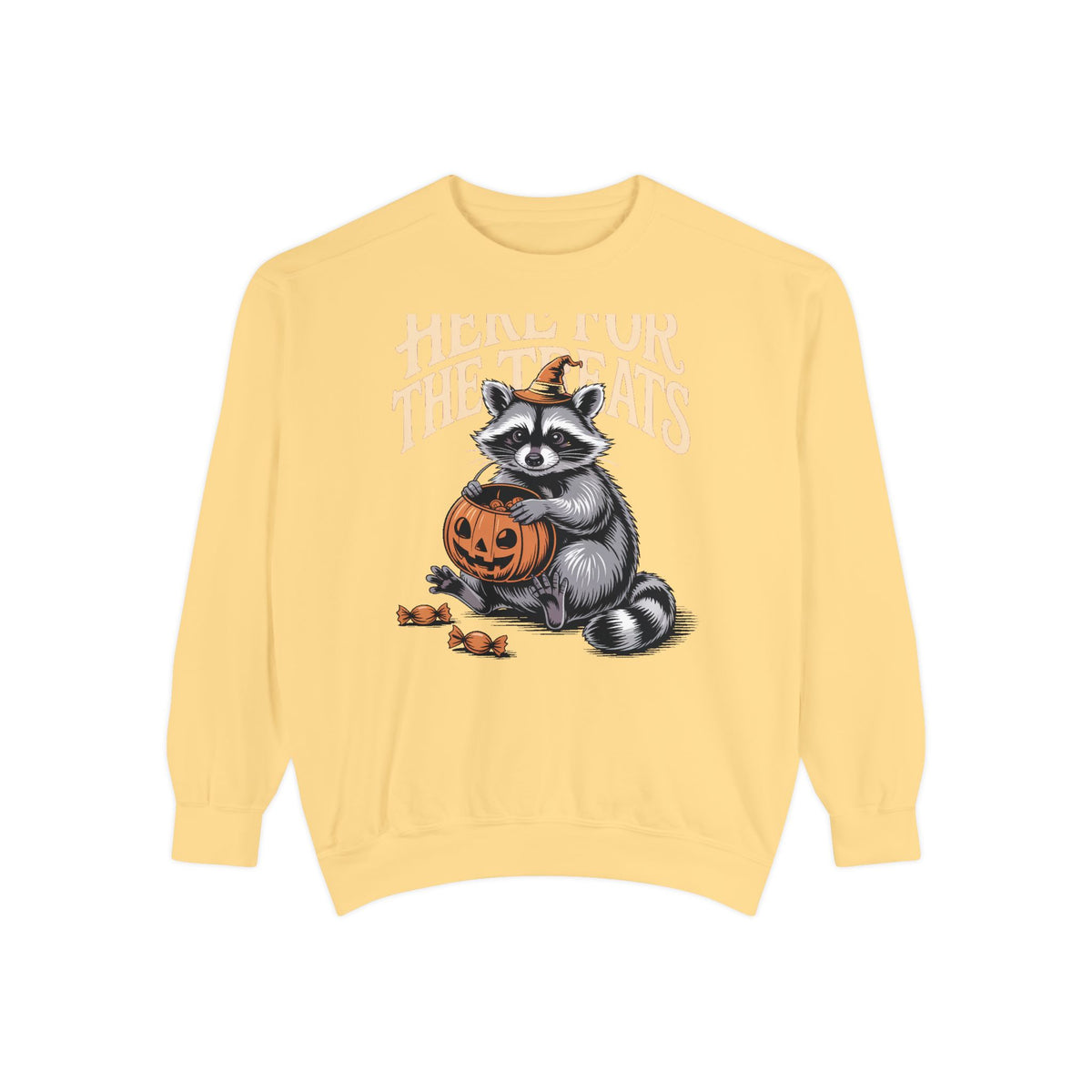 Here For The Treats Raccoon Sweatshirt, Funny Halloween Crewneck, Vintage Trick Or Treat Raccoon Shirt, Spooky Season Gift