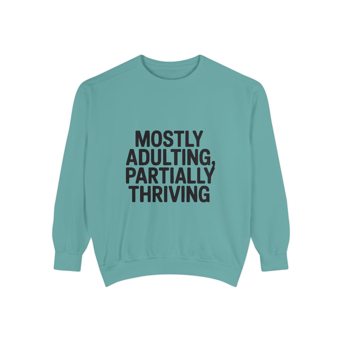 Mostly Adulting Partially Thriving Sweatshirt, Funny Embroidered Crewneck, Sarcastic Adult Life Gift, Minimalist Text Sweatshirt