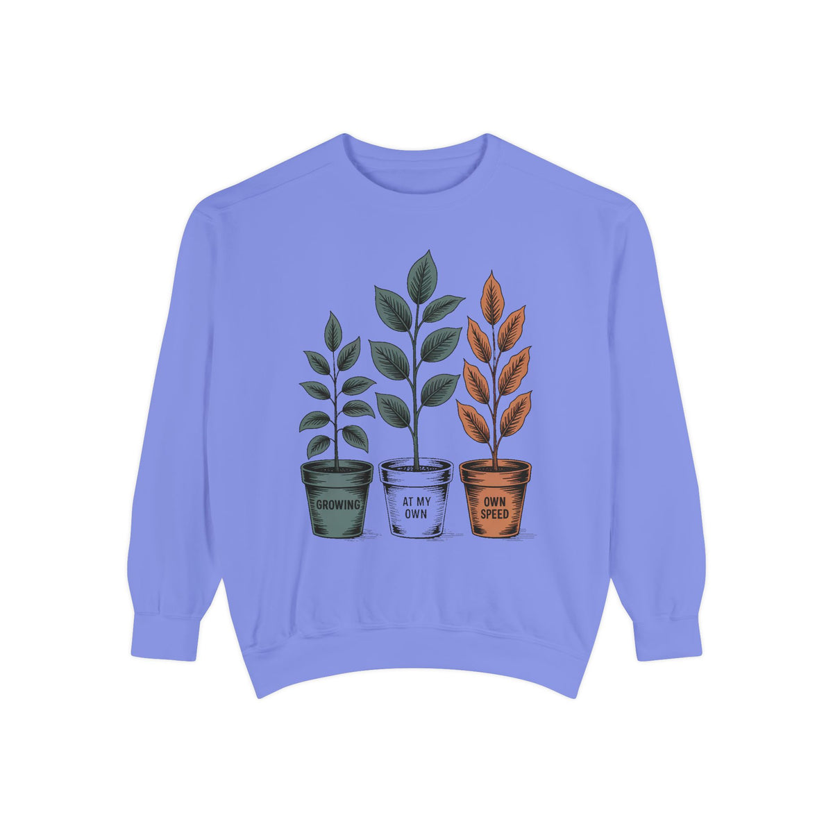 Self Encouragement Sweatshirt, Growing At My Own Speed Crewneck, Positive Affirmation Gift, Faith Based Sweatshirt, Personal Growth Gift Fo…