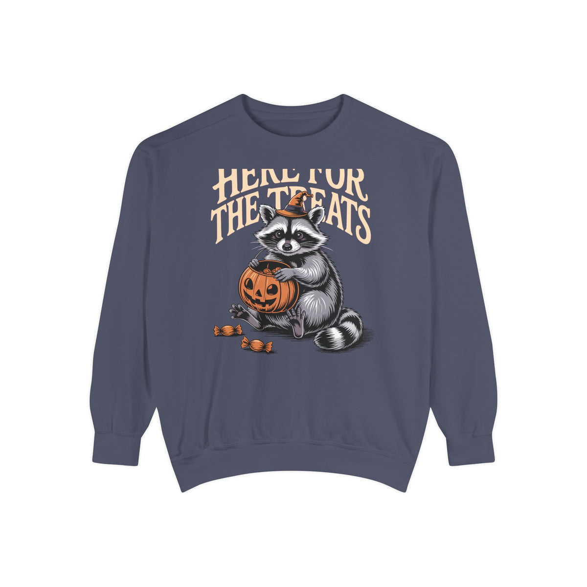 Here For The Treats Raccoon Sweatshirt, Funny Halloween Crewneck, Vintage Trick Or Treat Raccoon Shirt, Spooky Season Gift