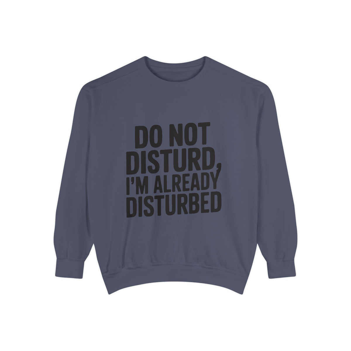 Do Not Disturb Already Disturbed Sweatshirt, Funny Sarcastic Crewneck, Embroidered Patch Style Pullover, Introvert Gift