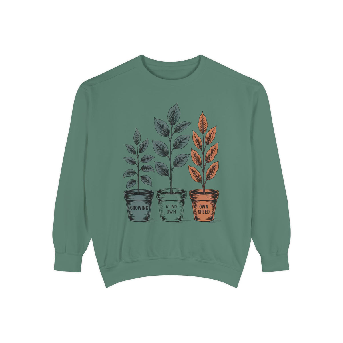 Self Encouragement Sweatshirt, Growing At My Own Speed Crewneck, Positive Affirmation Gift, Faith Based Sweatshirt, Personal Growth Gift Fo…