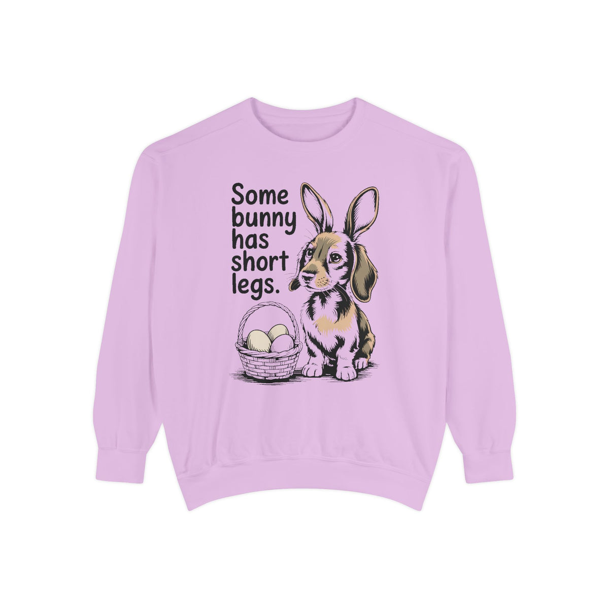 Dachshund Owner Sweatshirt, Some Bunny Has Short Legs, Funny Easter Gift For Dog Mom, Wiener Dog Easter Sweatshirt, Dachshund Easter Tee