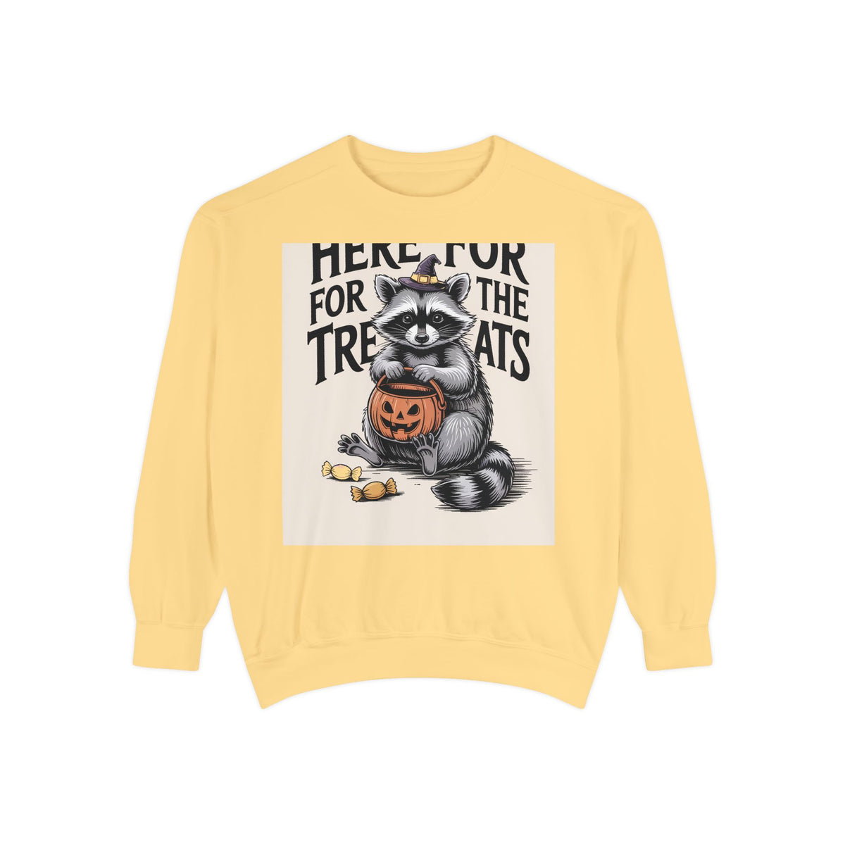 Here For The Treats Raccoon Sweatshirt, Funny Halloween Crewneck, Vintage Witch Raccoon Candy Sweatshirt, Spooky Season Gift