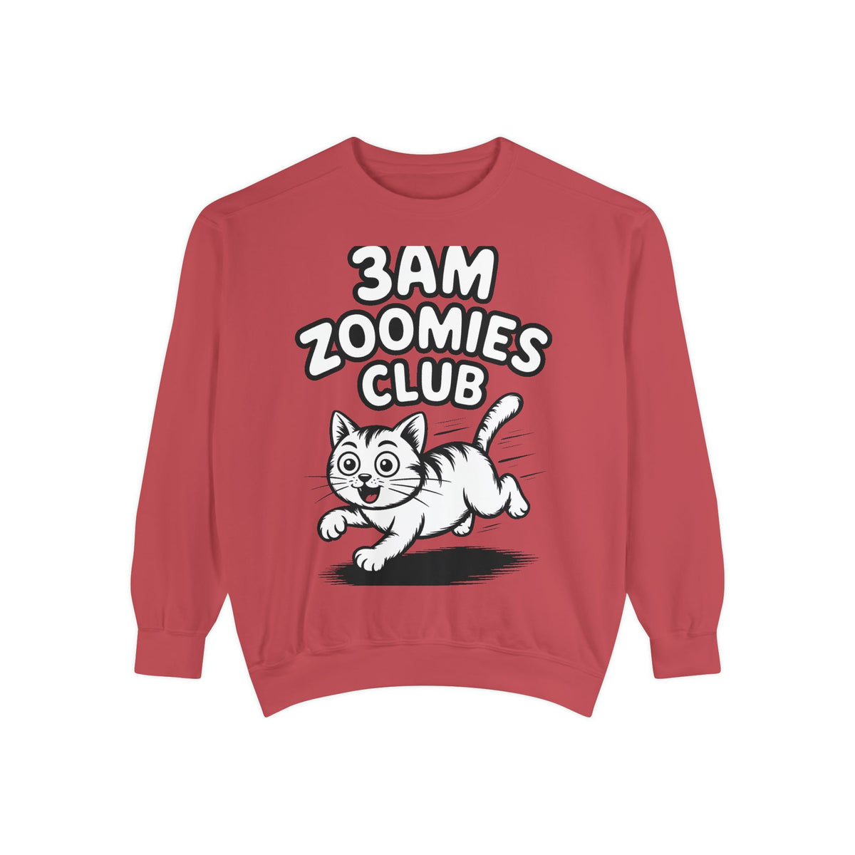 3AM Zoomies Club Sweatshirt, Funny Cat Crewneck, Cute Crazy Cat Lover Gift, Embroidered Patch Style Cat Sweatshirt