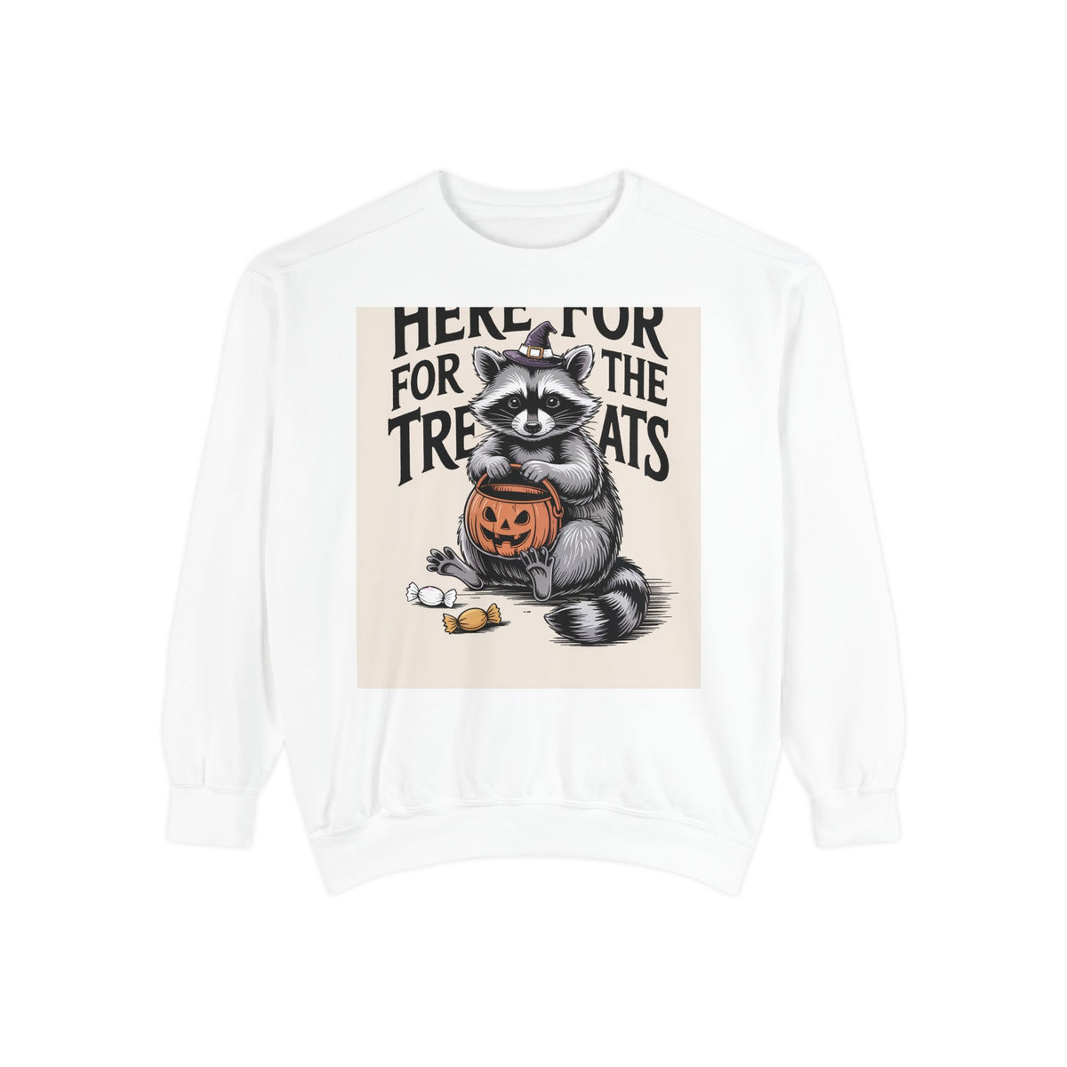 Here For The Treats Raccoon Sweatshirt, Funny Halloween Crewneck, Vintage Witch Raccoon Candy Sweatshirt, Spooky Season Gift