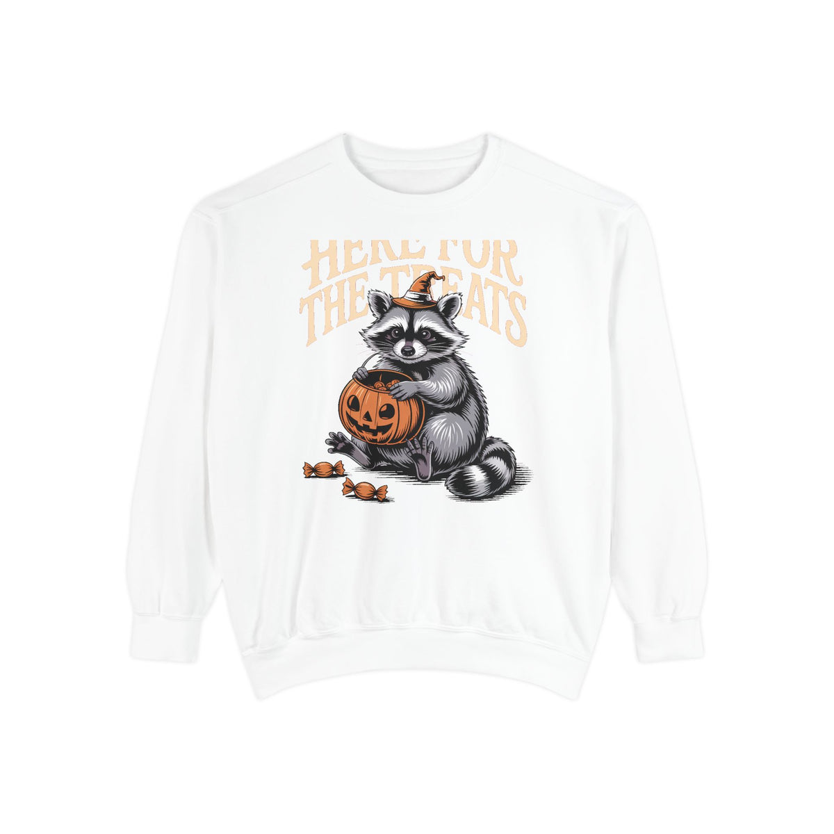 Here For The Treats Raccoon Sweatshirt, Funny Halloween Crewneck, Vintage Trick Or Treat Raccoon Shirt, Spooky Season Gift