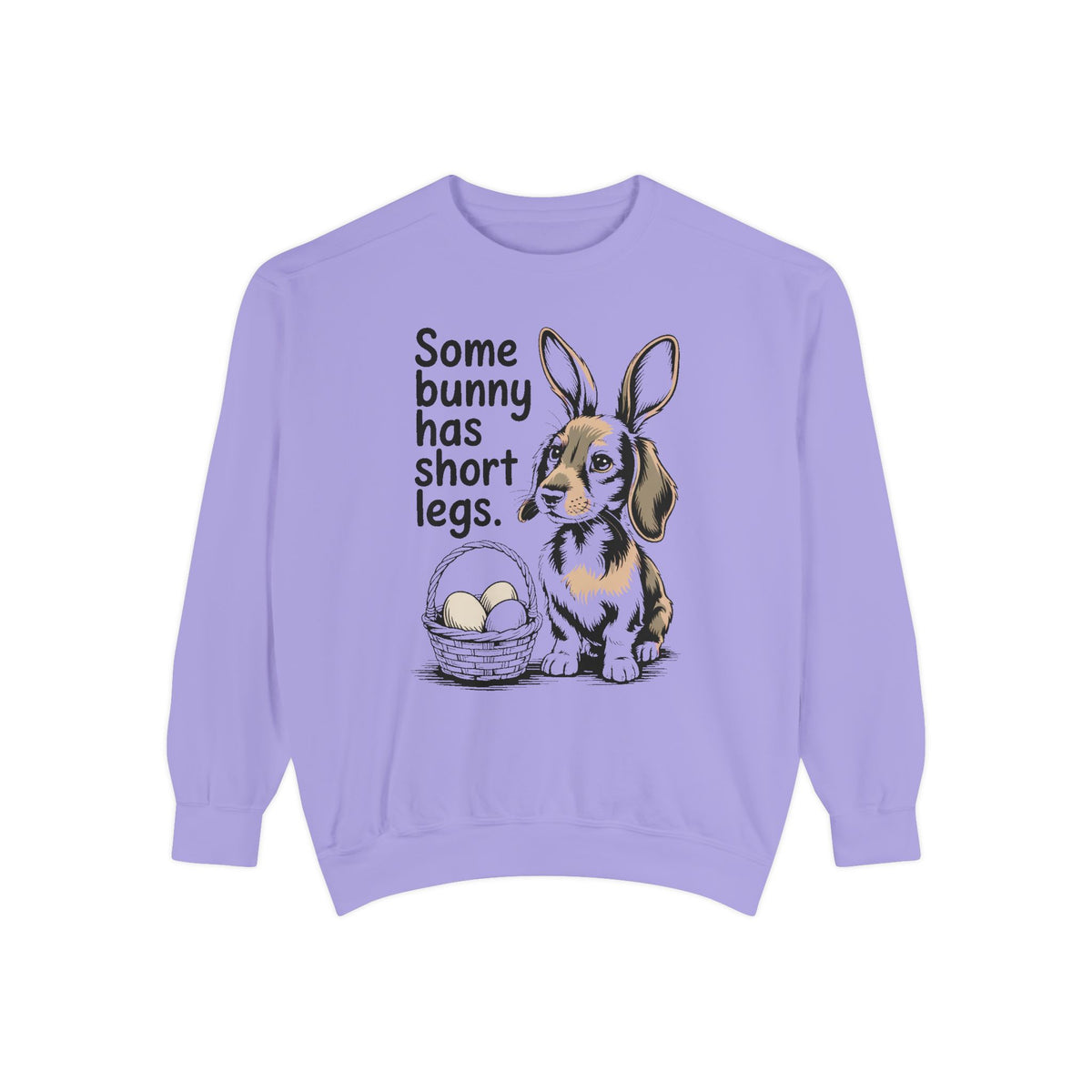Dachshund Owner Sweatshirt, Some Bunny Has Short Legs, Funny Easter Gift For Dog Mom, Wiener Dog Easter Sweatshirt, Dachshund Easter Tee