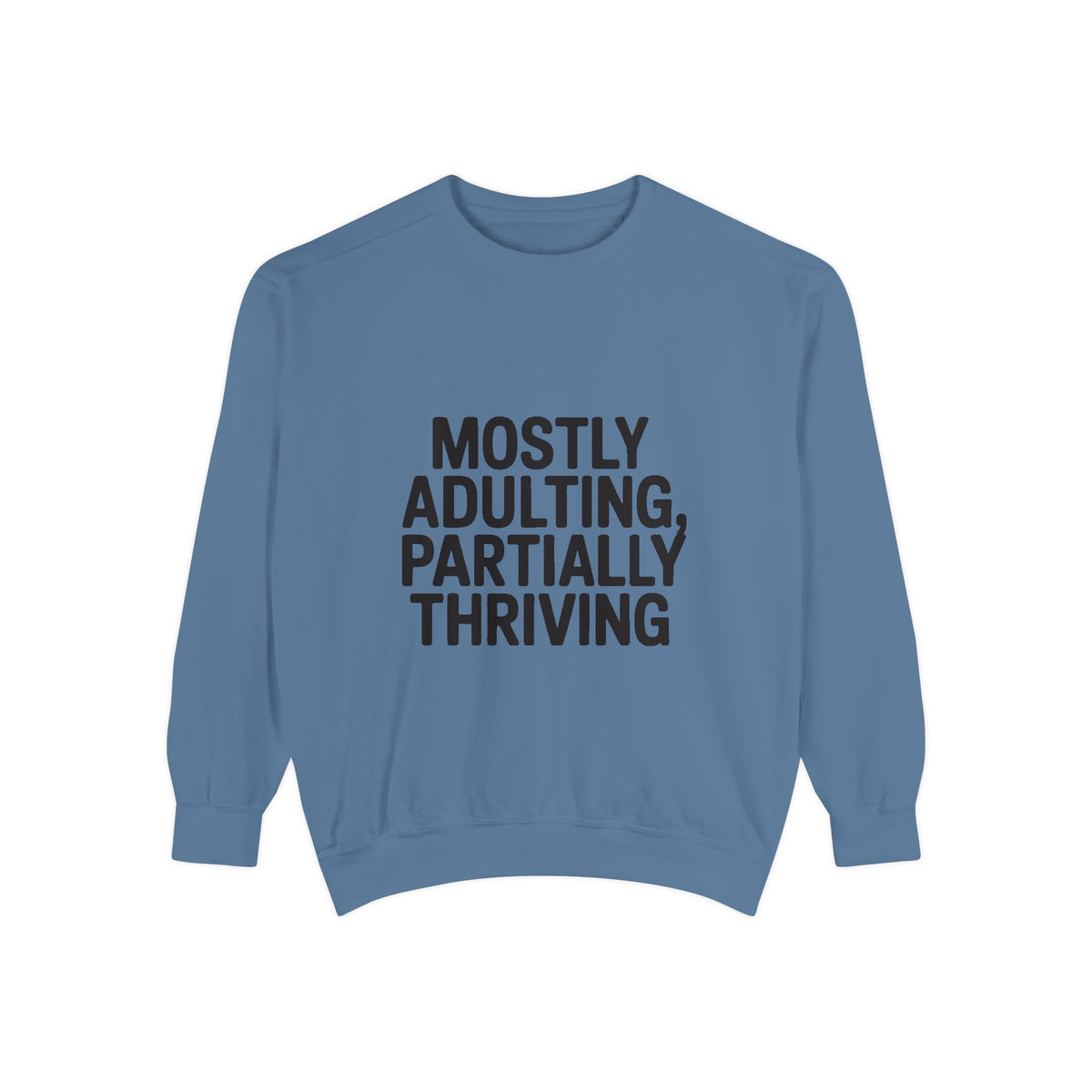 Mostly Adulting Partially Thriving Sweatshirt, Funny Embroidered Crewneck, Sarcastic Adult Life Gift, Minimalist Text Sweatshirt