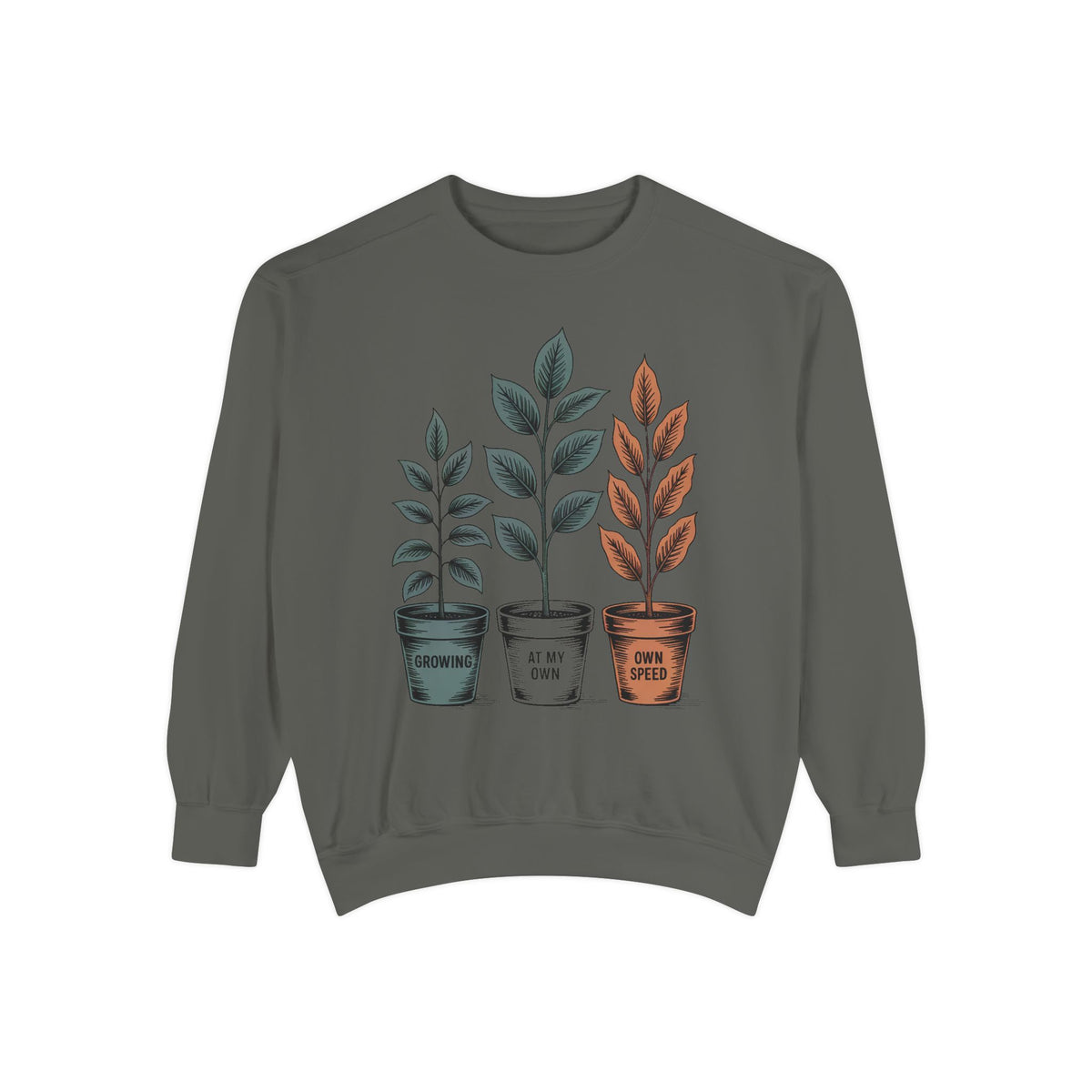 Self Encouragement Sweatshirt, Growing At My Own Speed Crewneck, Positive Affirmation Gift, Faith Based Sweatshirt, Personal Growth Gift Fo…