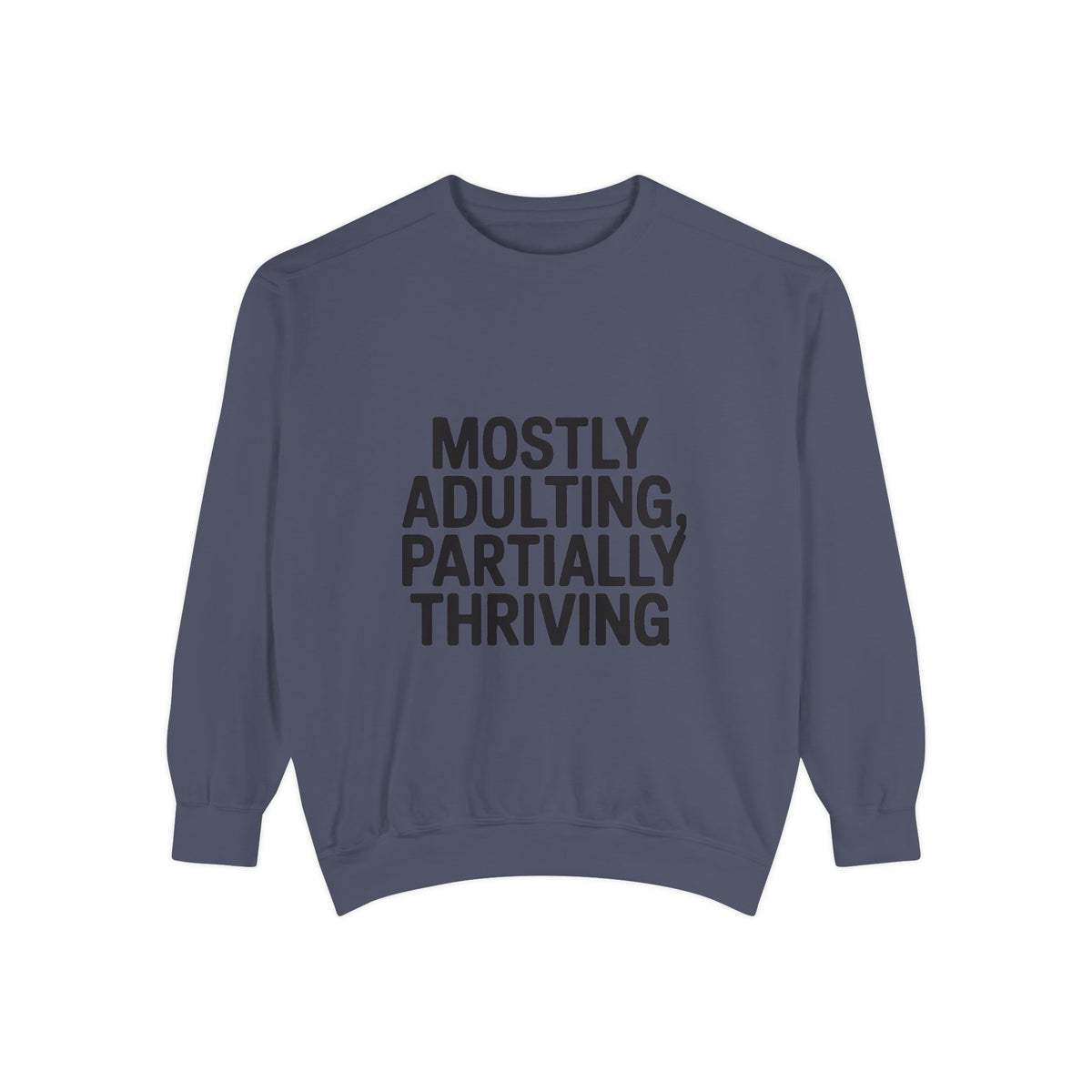 Mostly Adulting Partially Thriving Sweatshirt, Funny Embroidered Crewneck, Sarcastic Adult Life Gift, Minimalist Text Sweatshirt