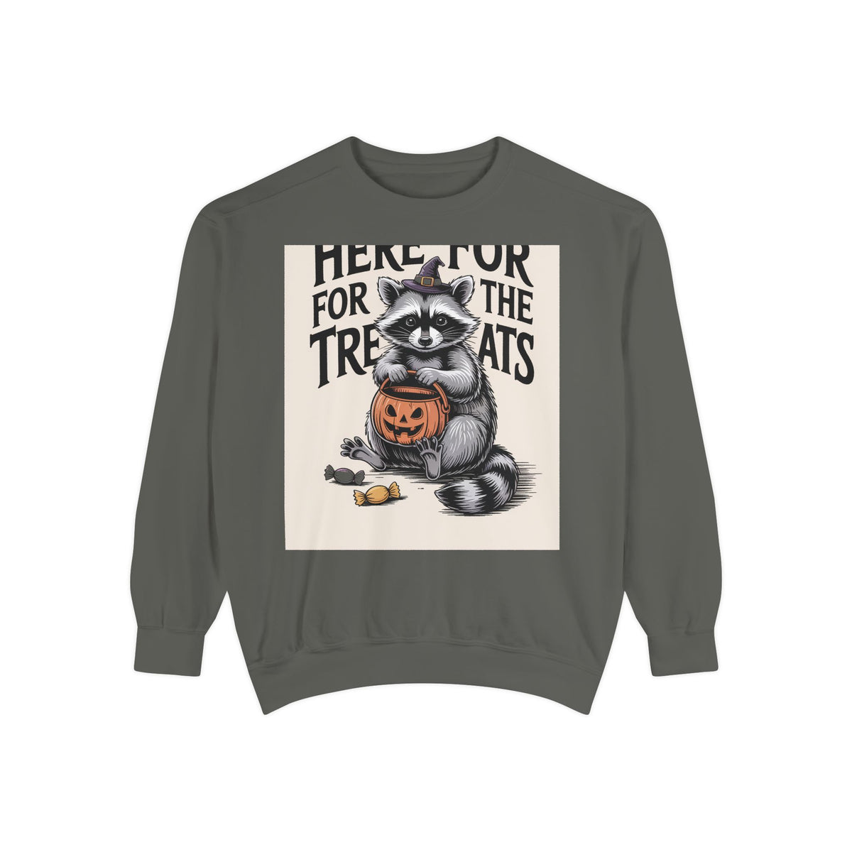 Here For The Treats Raccoon Sweatshirt, Funny Halloween Crewneck, Vintage Witch Raccoon Candy Sweatshirt, Spooky Season Gift